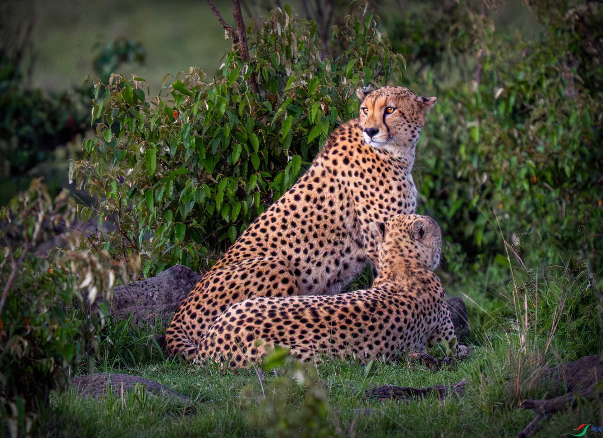 P3277911-����ǿ-NR ����_����.jpg