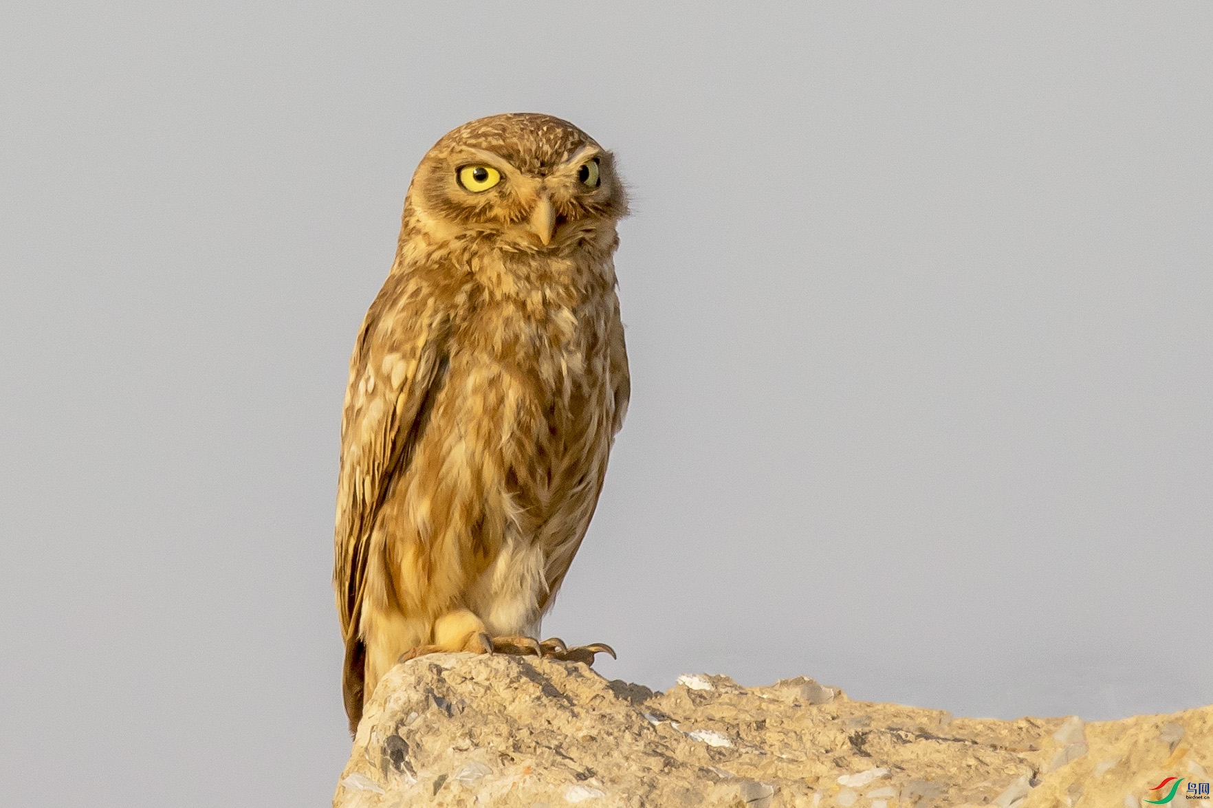 _90I3020 ����.jpg