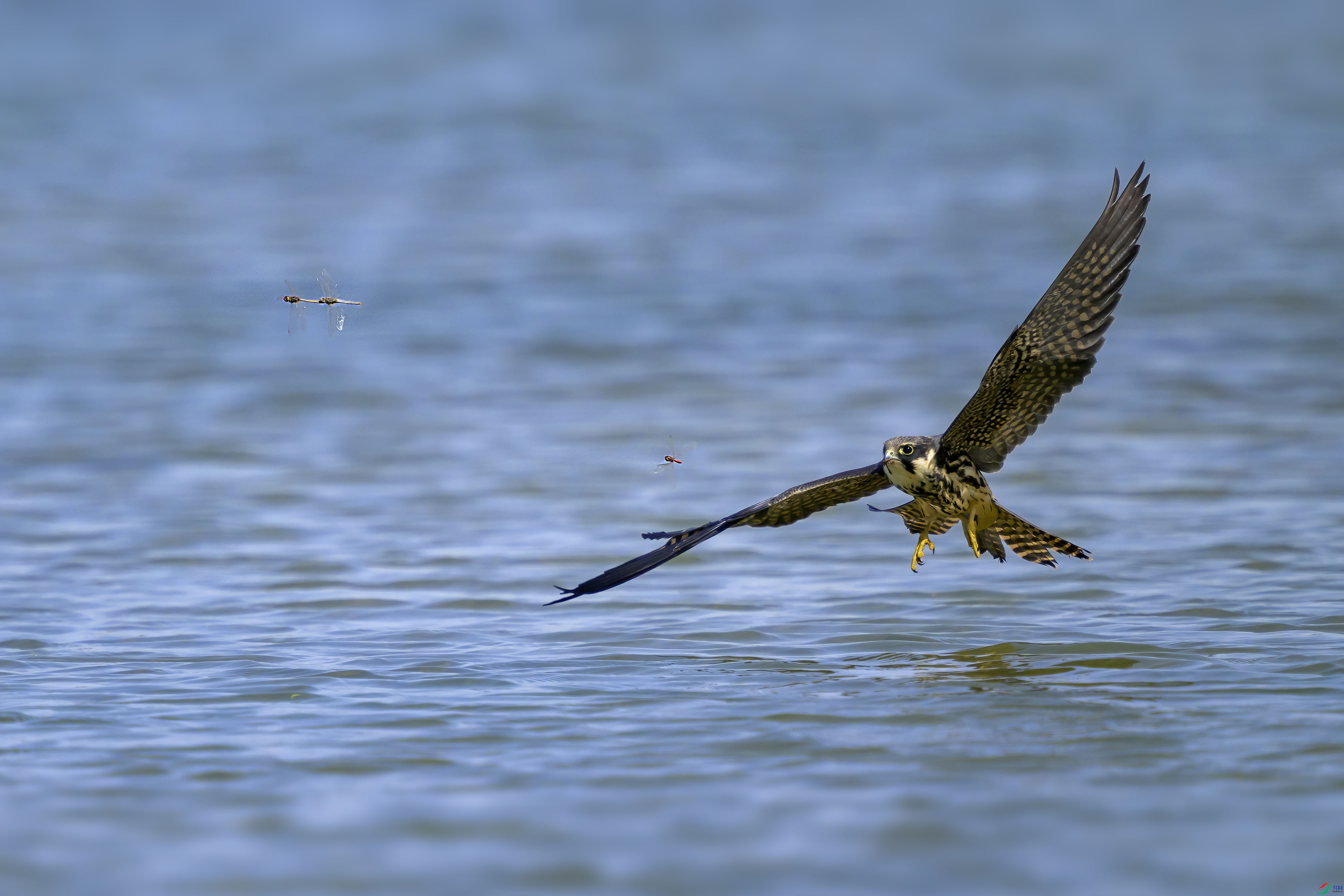 _DSC3536 ���� 2.jpg