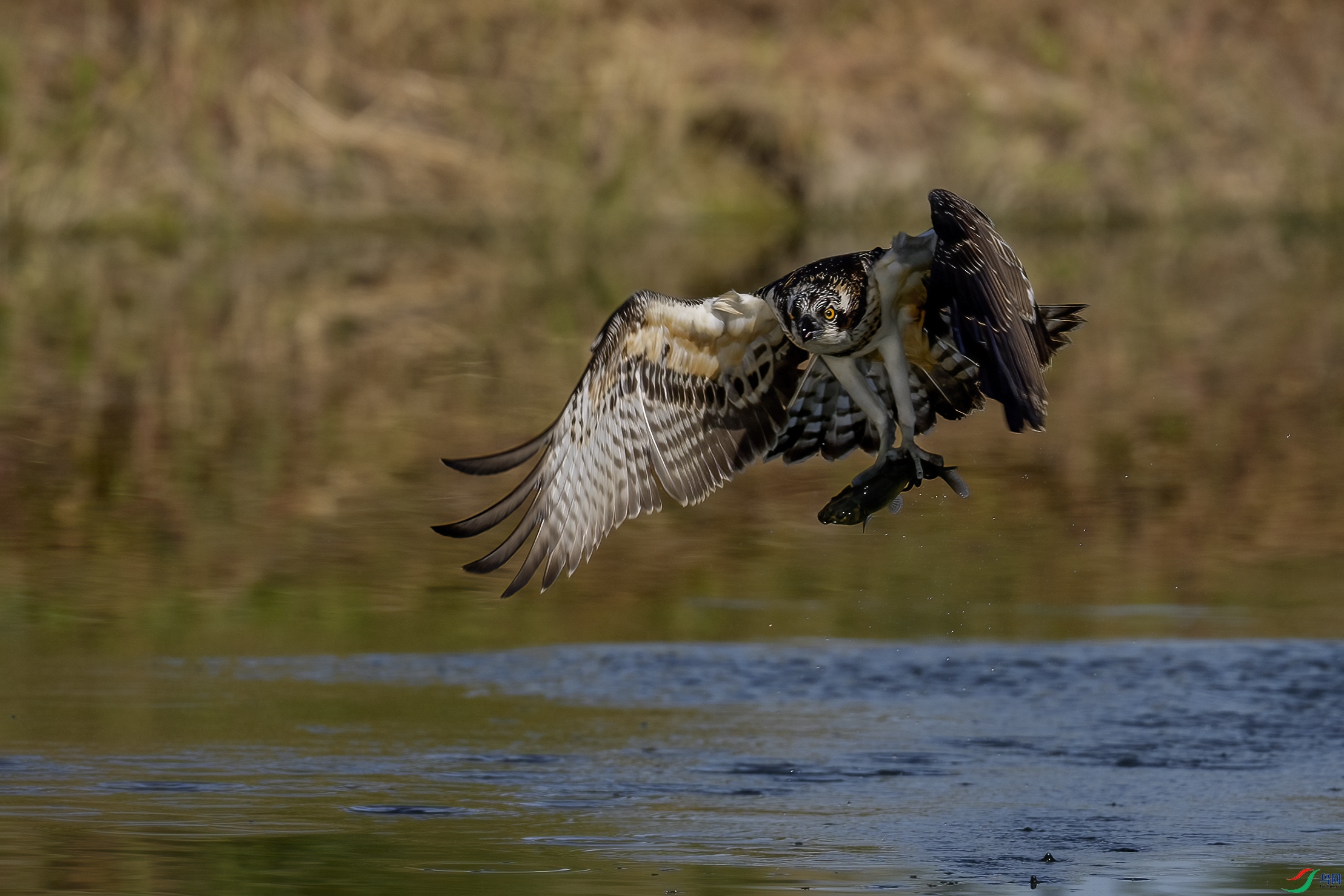 _DSC4753 ����.jpg