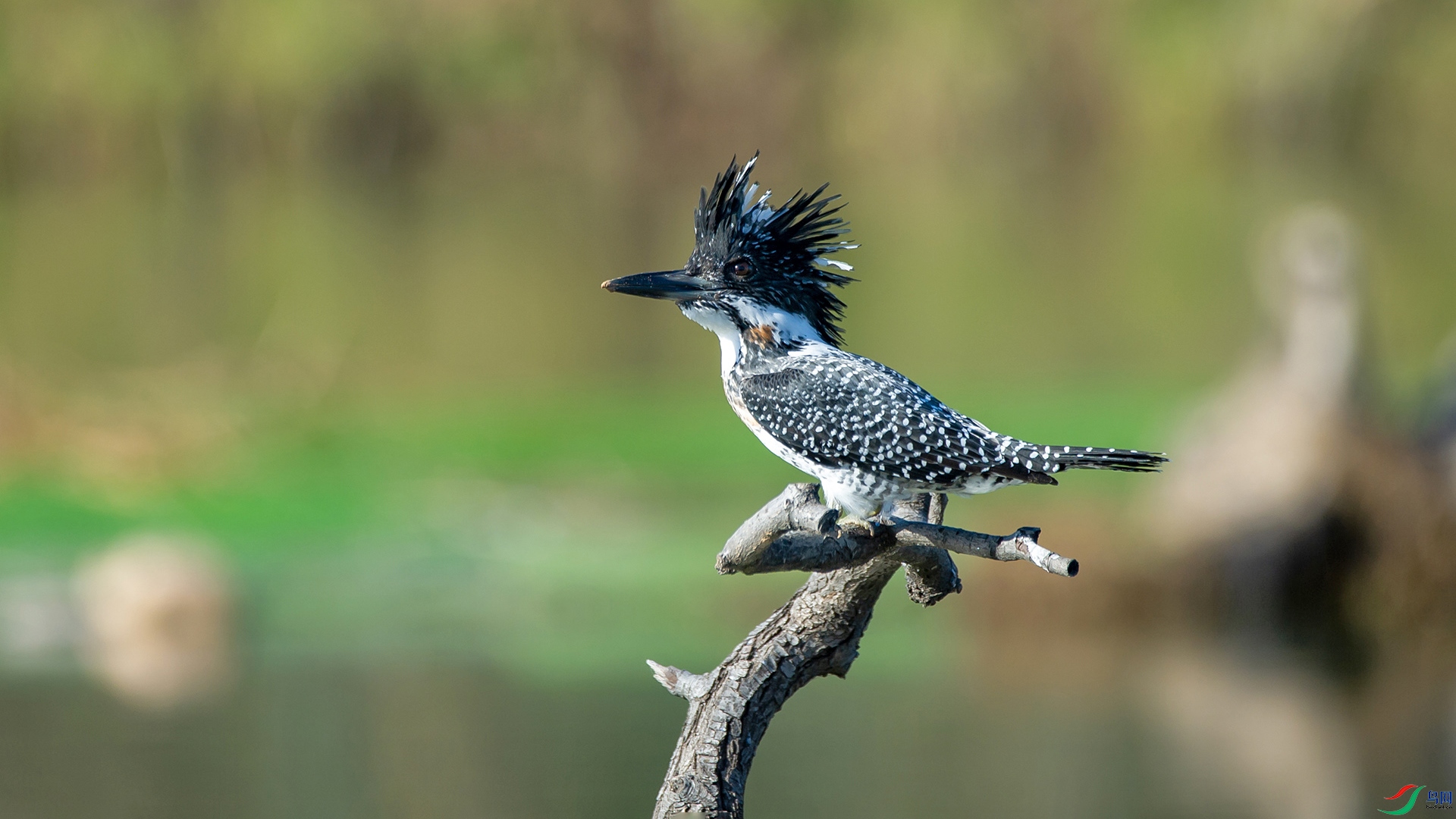 _DSC4248-20211112 �ü�.jpg