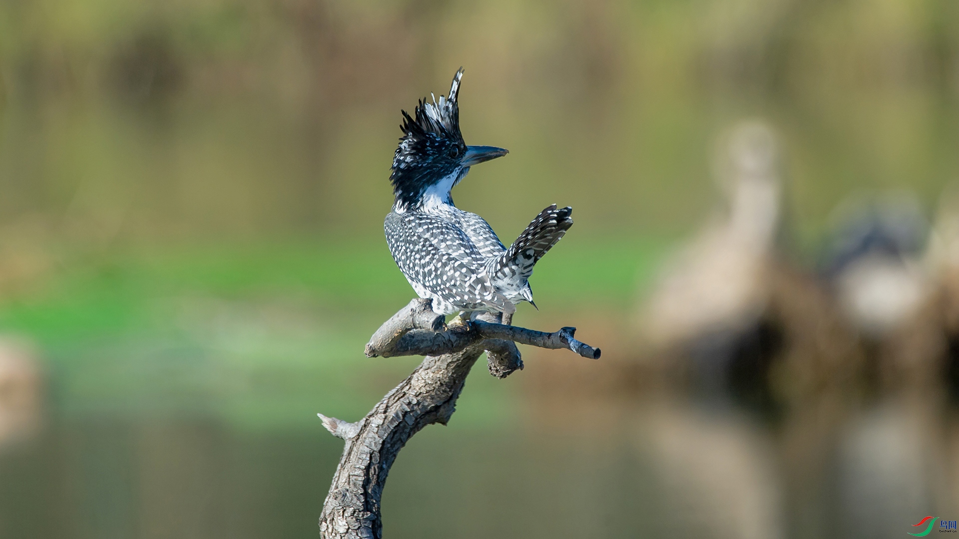 _DSC4256-20211112 �ü�.jpg