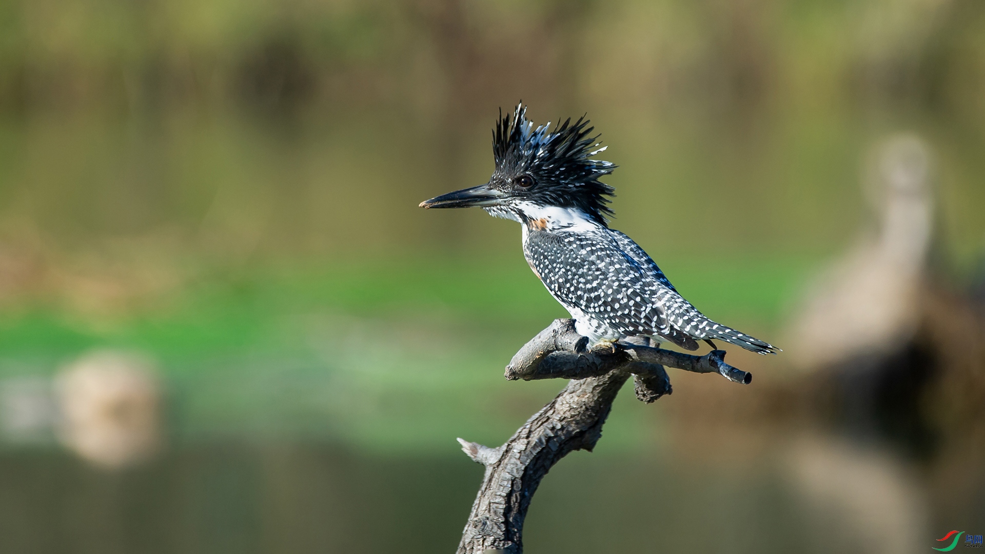 _DSC4262-20211112 �ü�.jpg