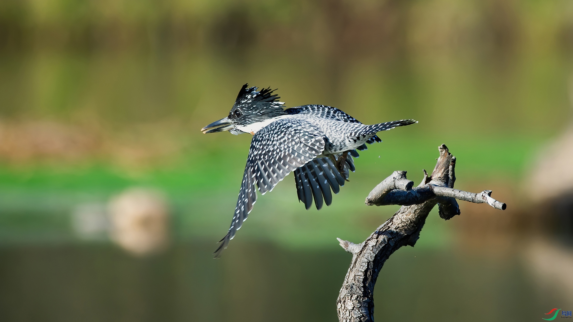 _DSC4263-20211112 1AI�ü�.jpg