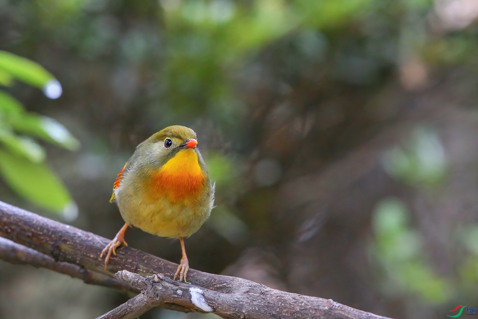 AQ4P8922-1.jpg