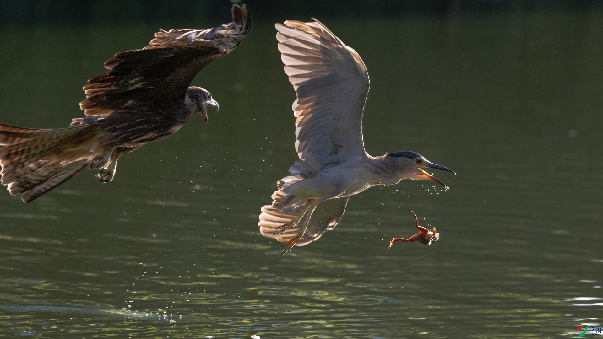1A3A0874-1.jpg