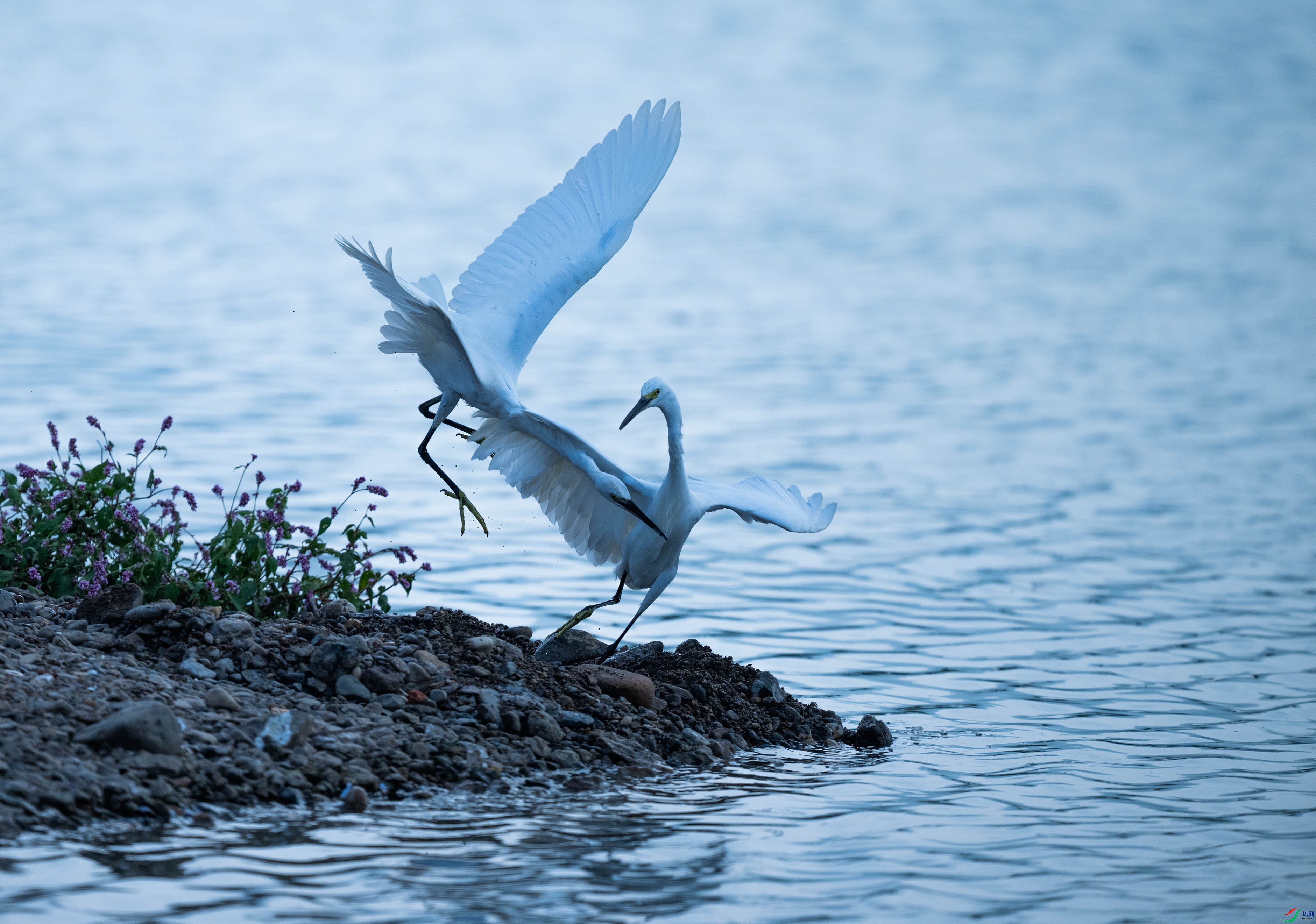 DSC_7025.jpg