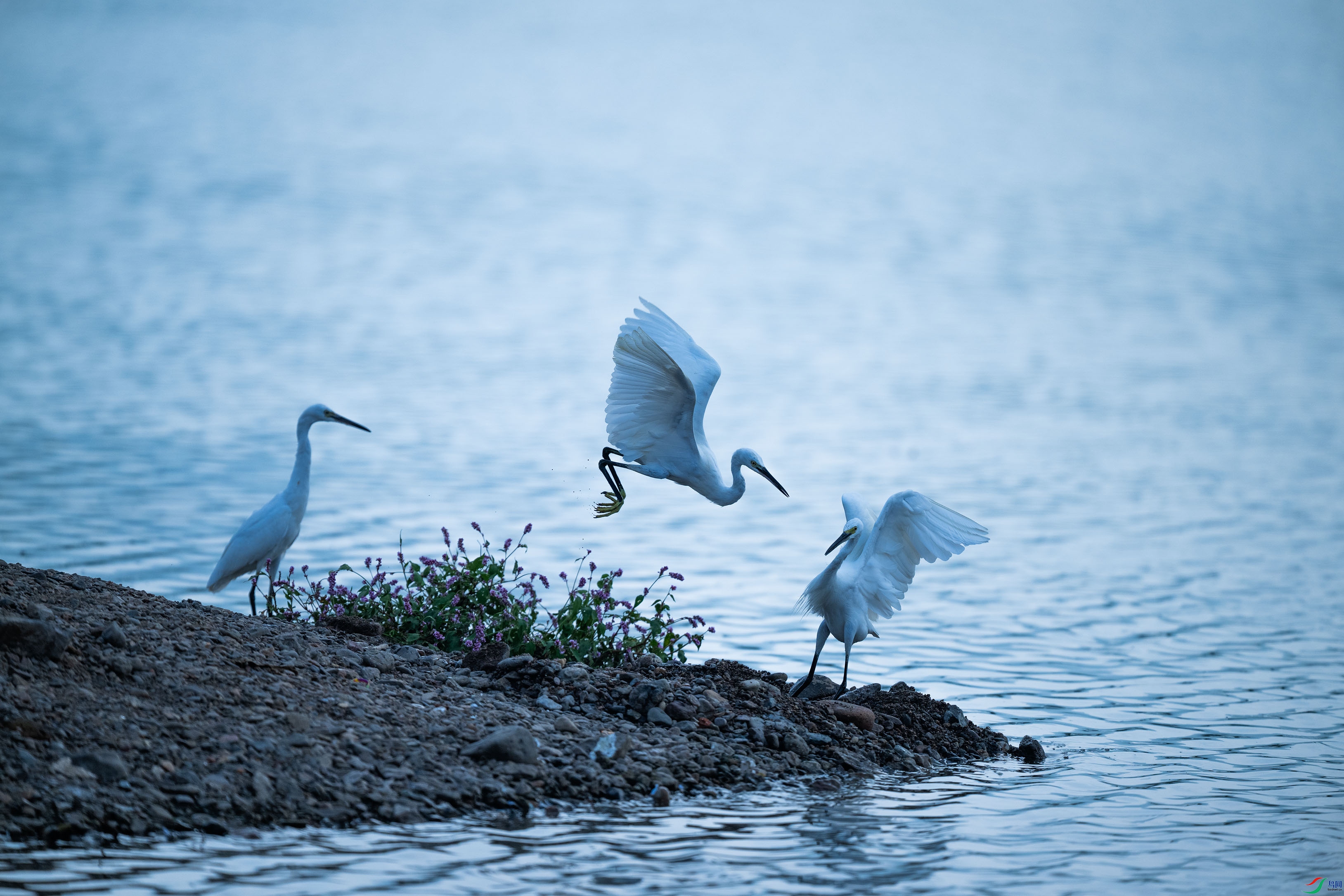 DSC_7024.jpg