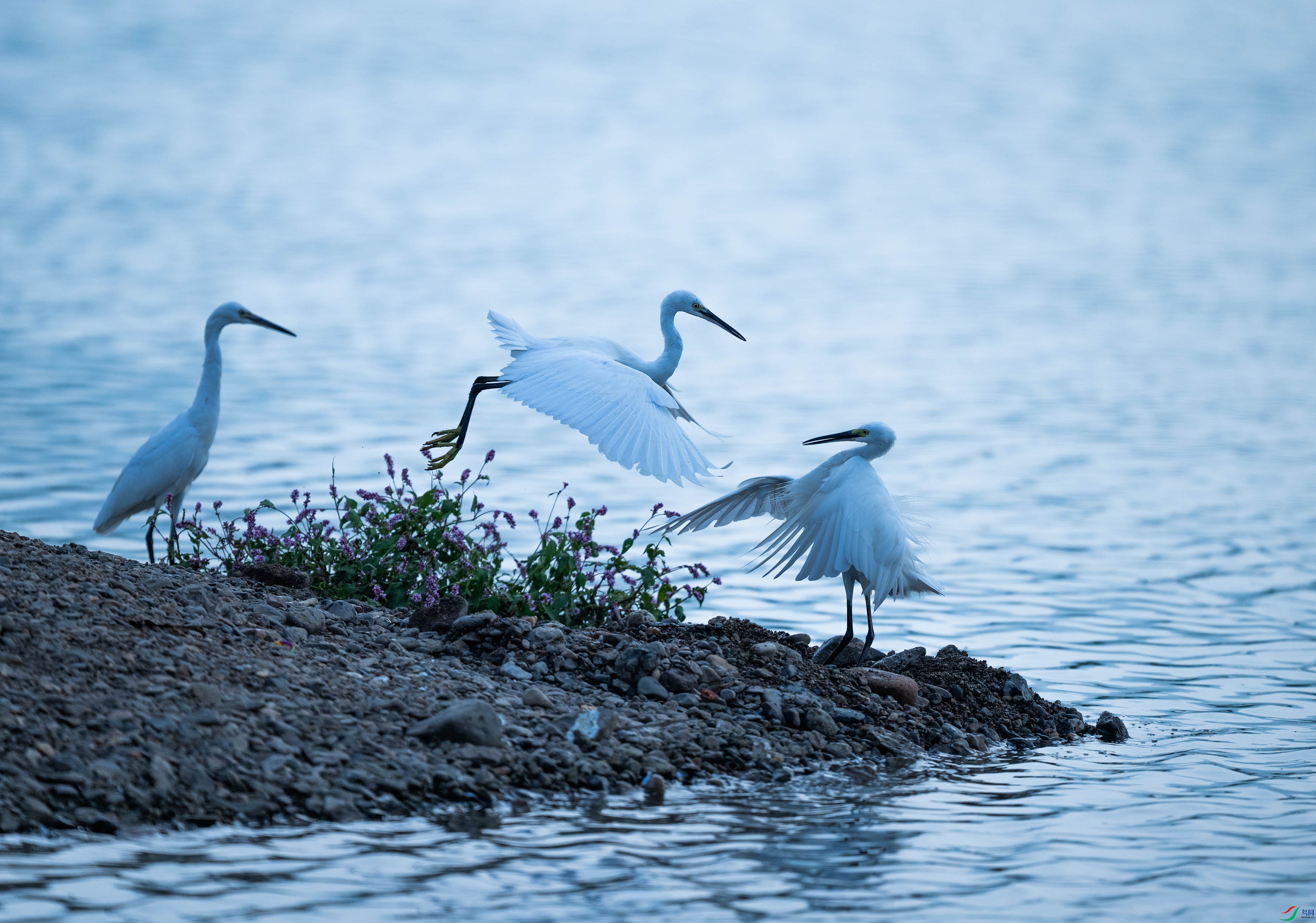 DSC_7023.jpg