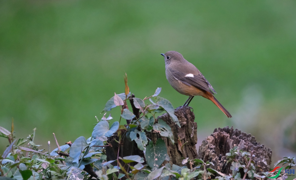 DSCF8858.1.jpg