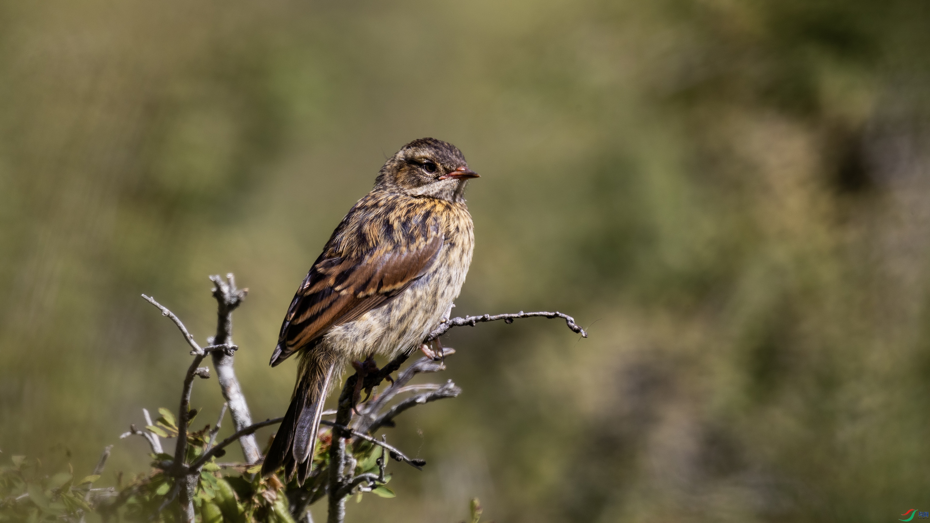 _X5A0113 ����.jpg