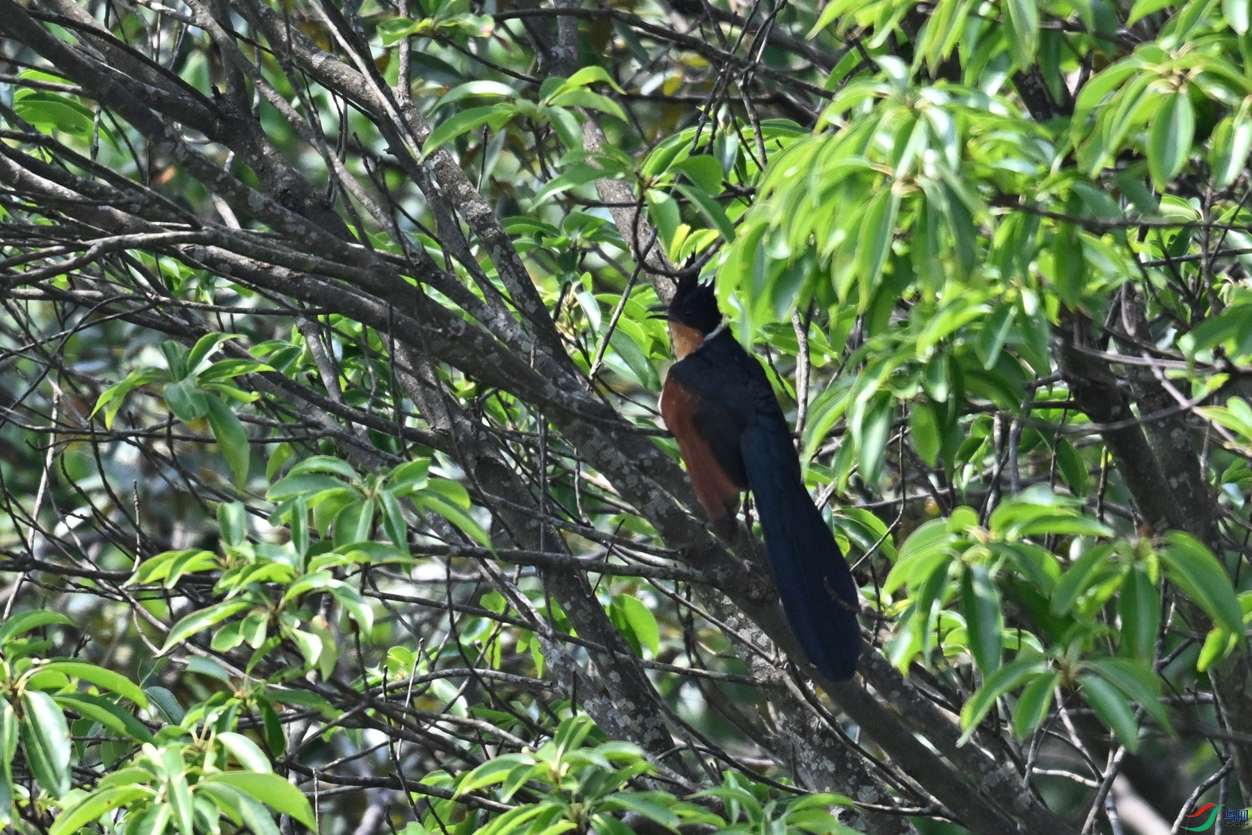 DSC_9183.JPG