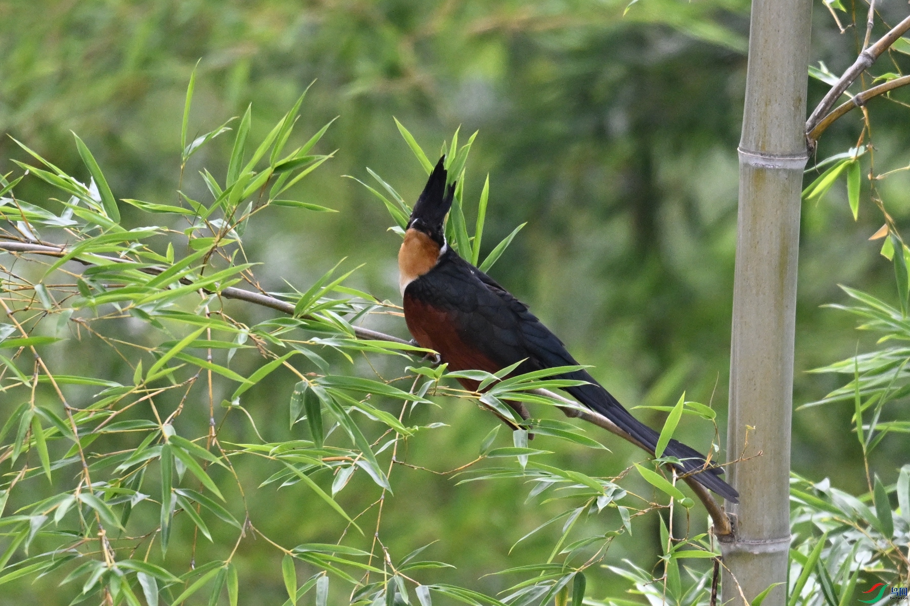 DSC_9194.JPG
