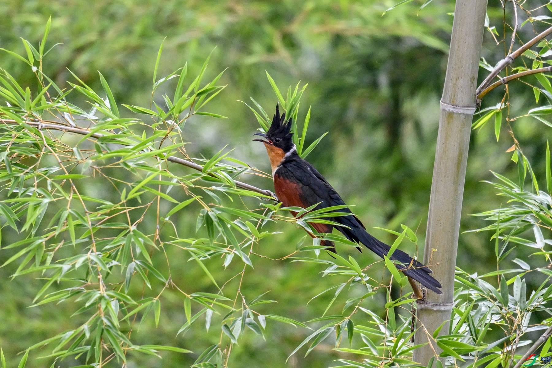 DSC_9187.JPG