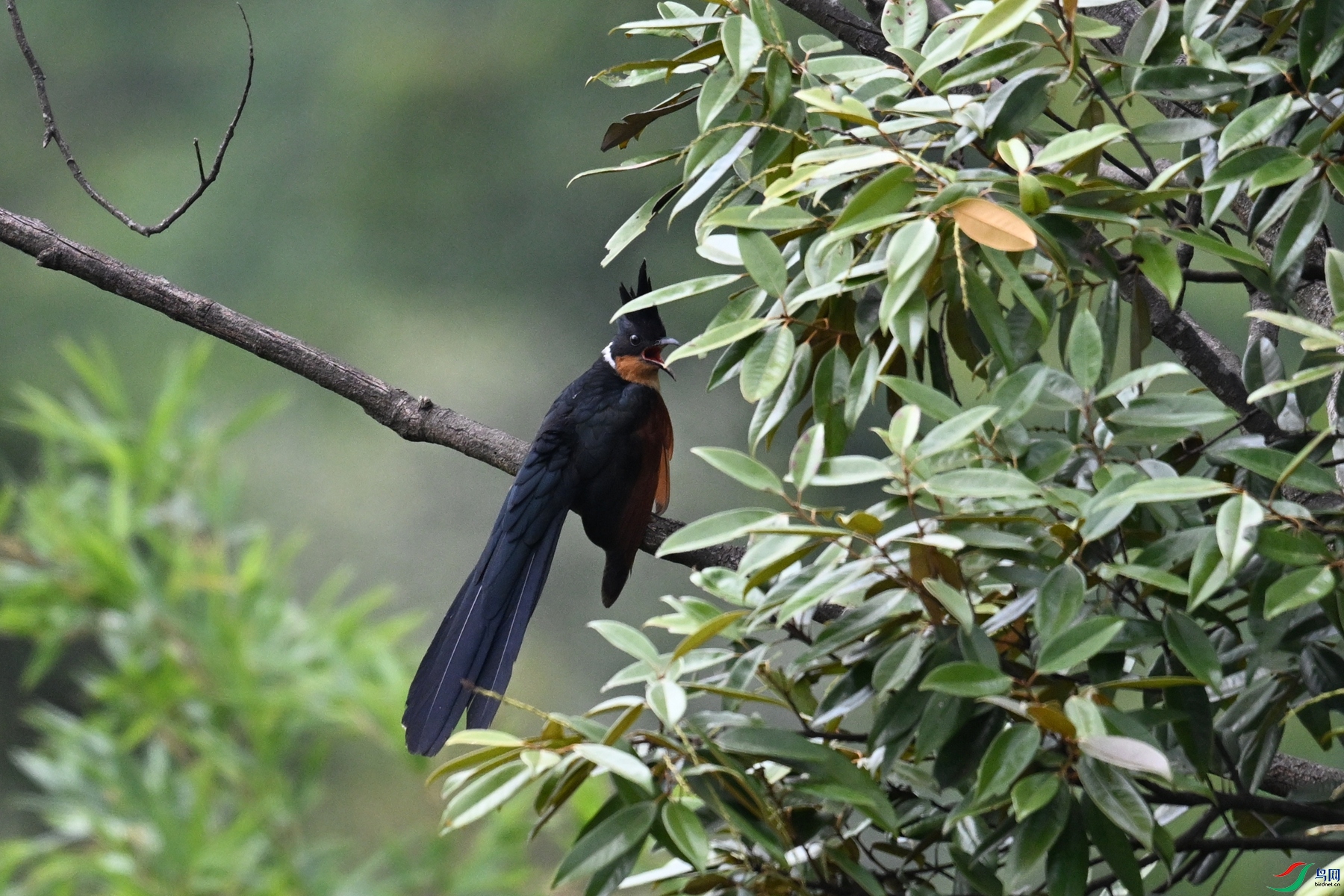 DSC_9210.JPG