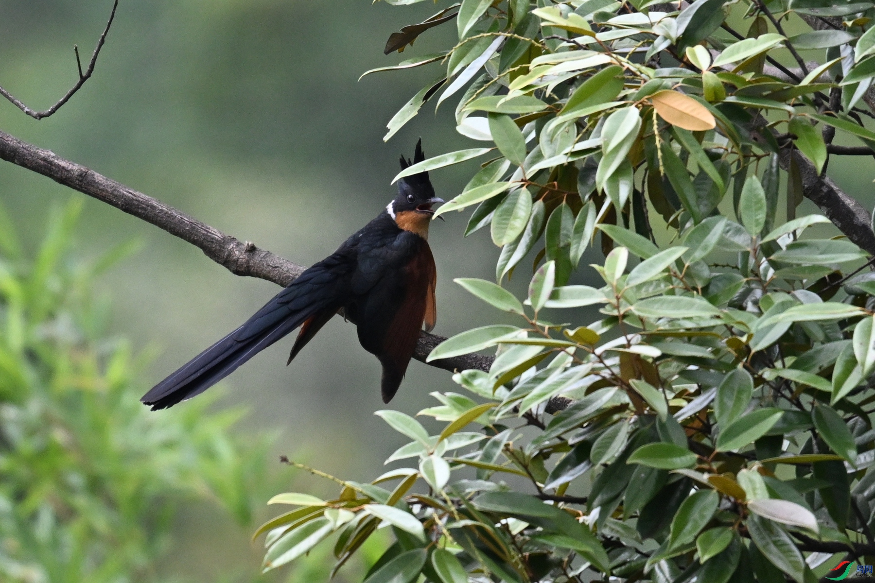 DSC_9212.JPG
