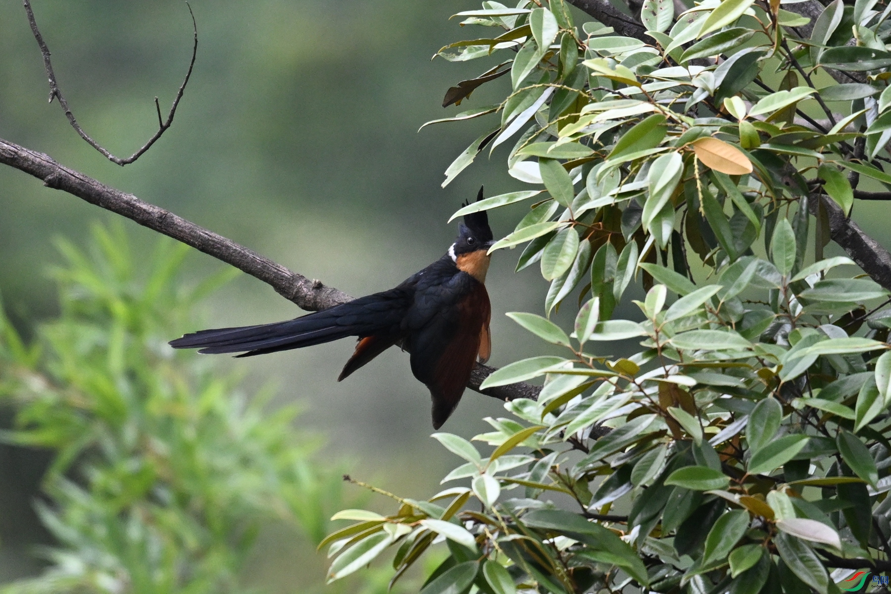 DSC_9214.JPG