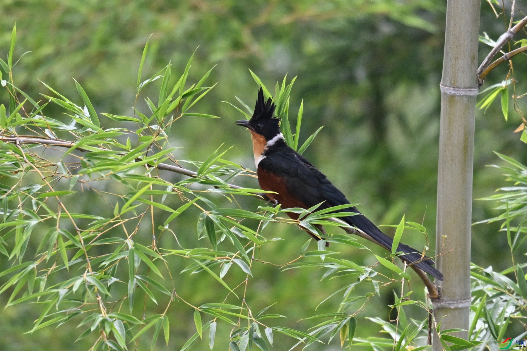 DSC_9197.JPG