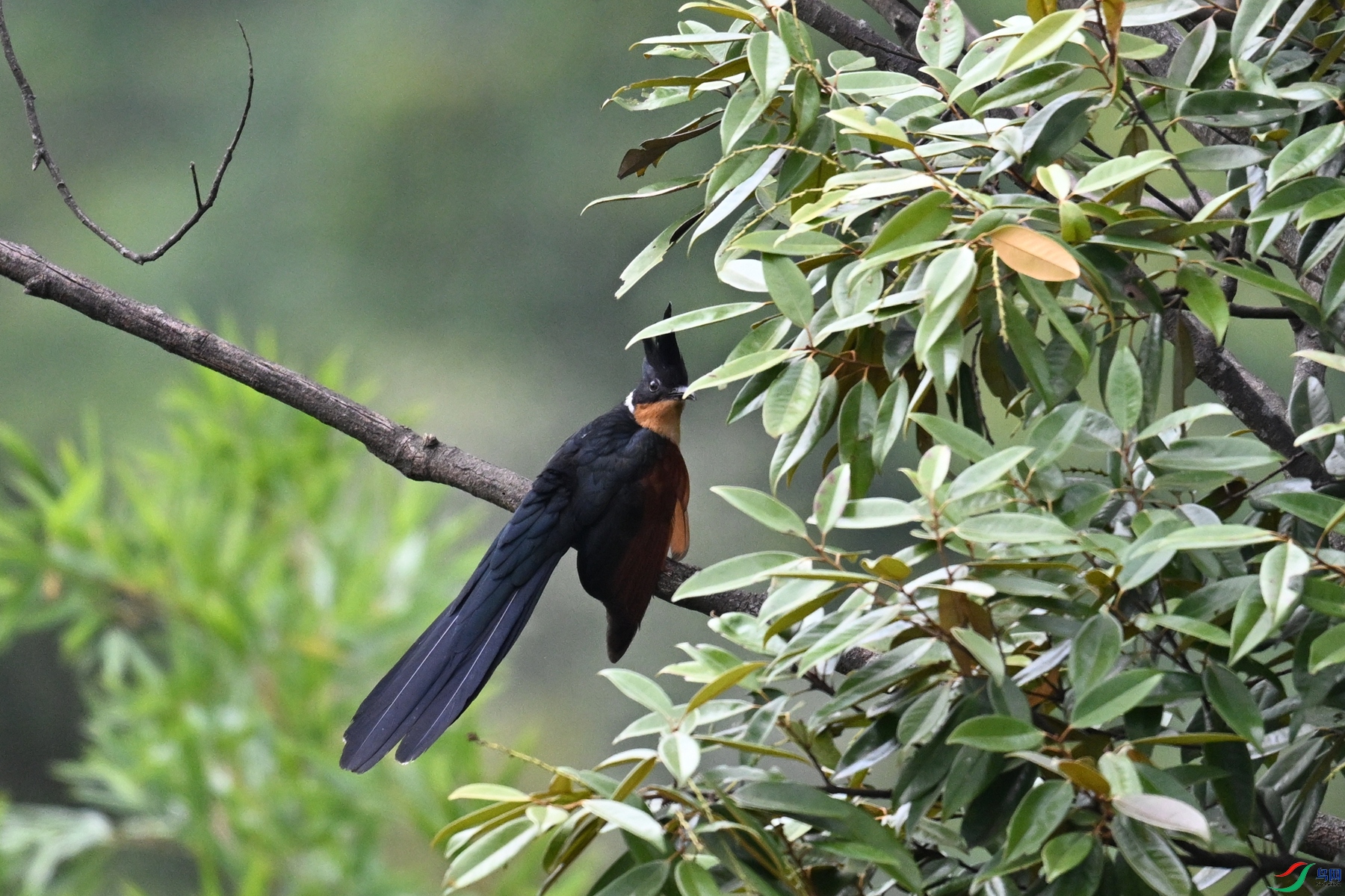 DSC_9218.JPG