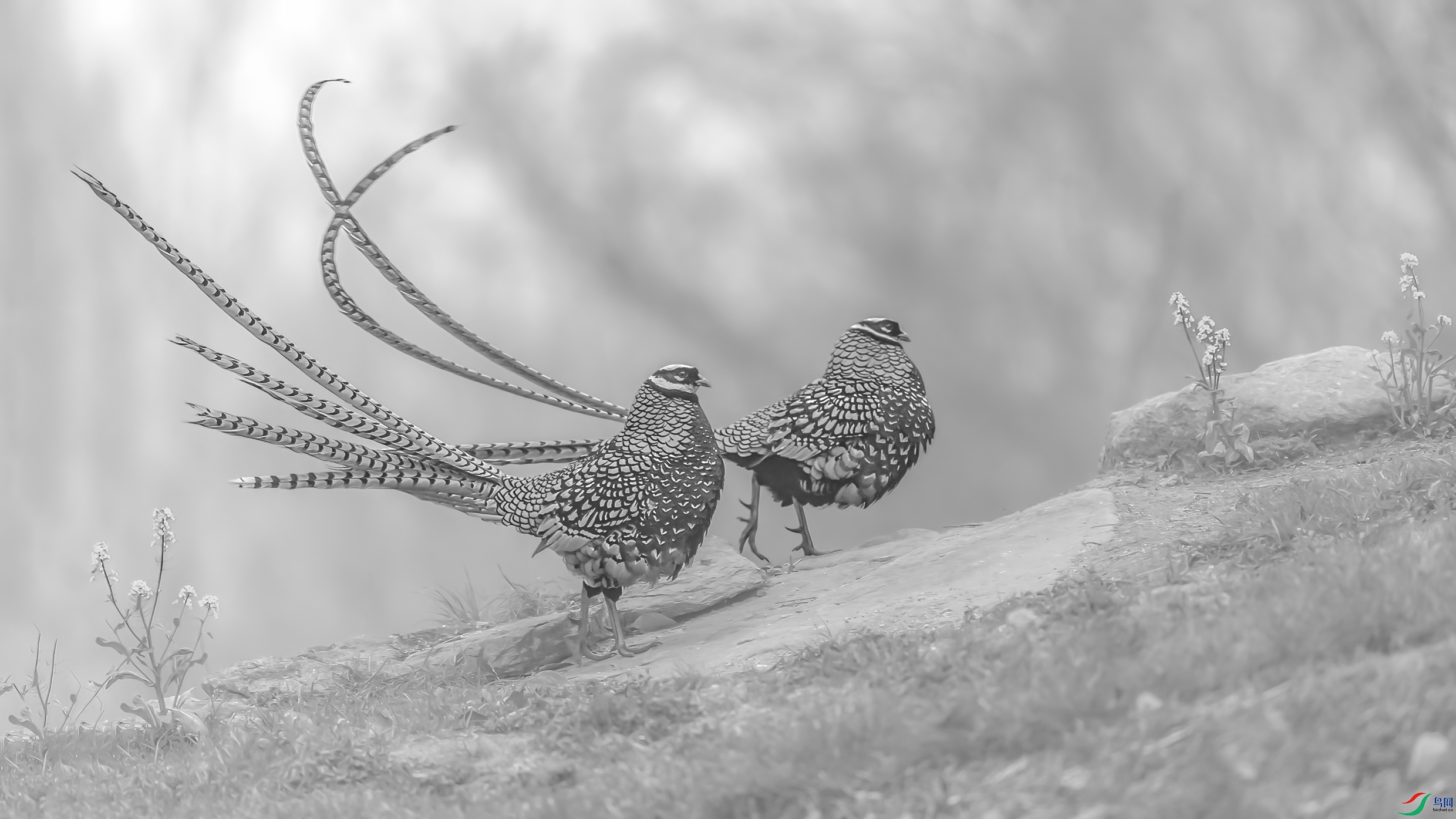 C09R0048 ����.jpg