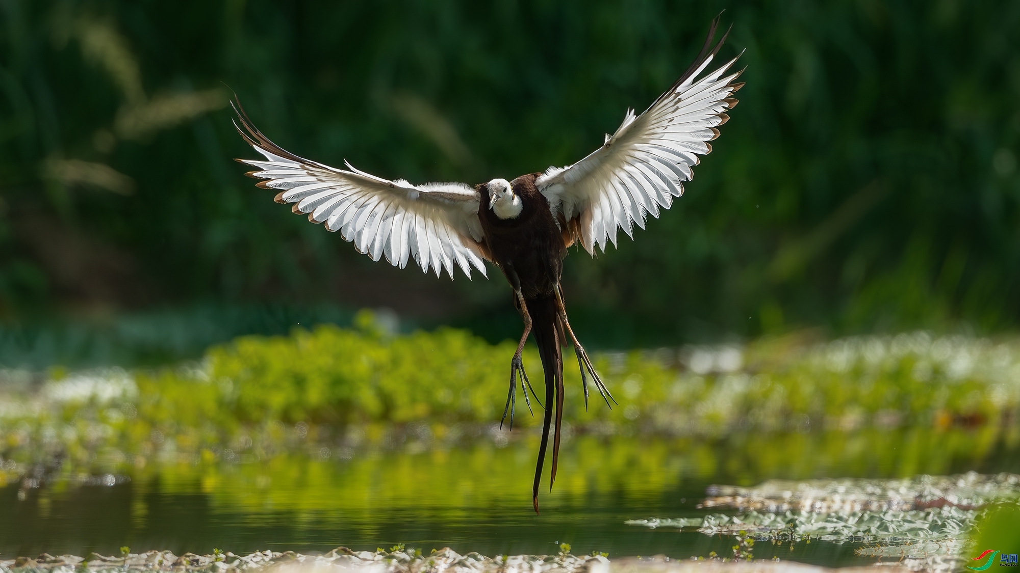 9.23Դ����Ȼ��ʦ��Ʒ  ������������ ��ף���ٻ����������.jpg