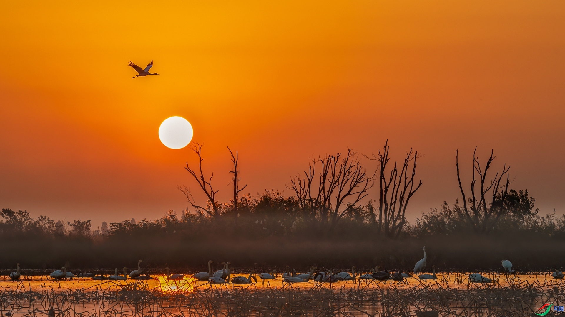 9.27Դ����Ȼ��ʦ��Ʒ  ��Ϧ�����ޡ� ��ף���ٻ����������.jpg