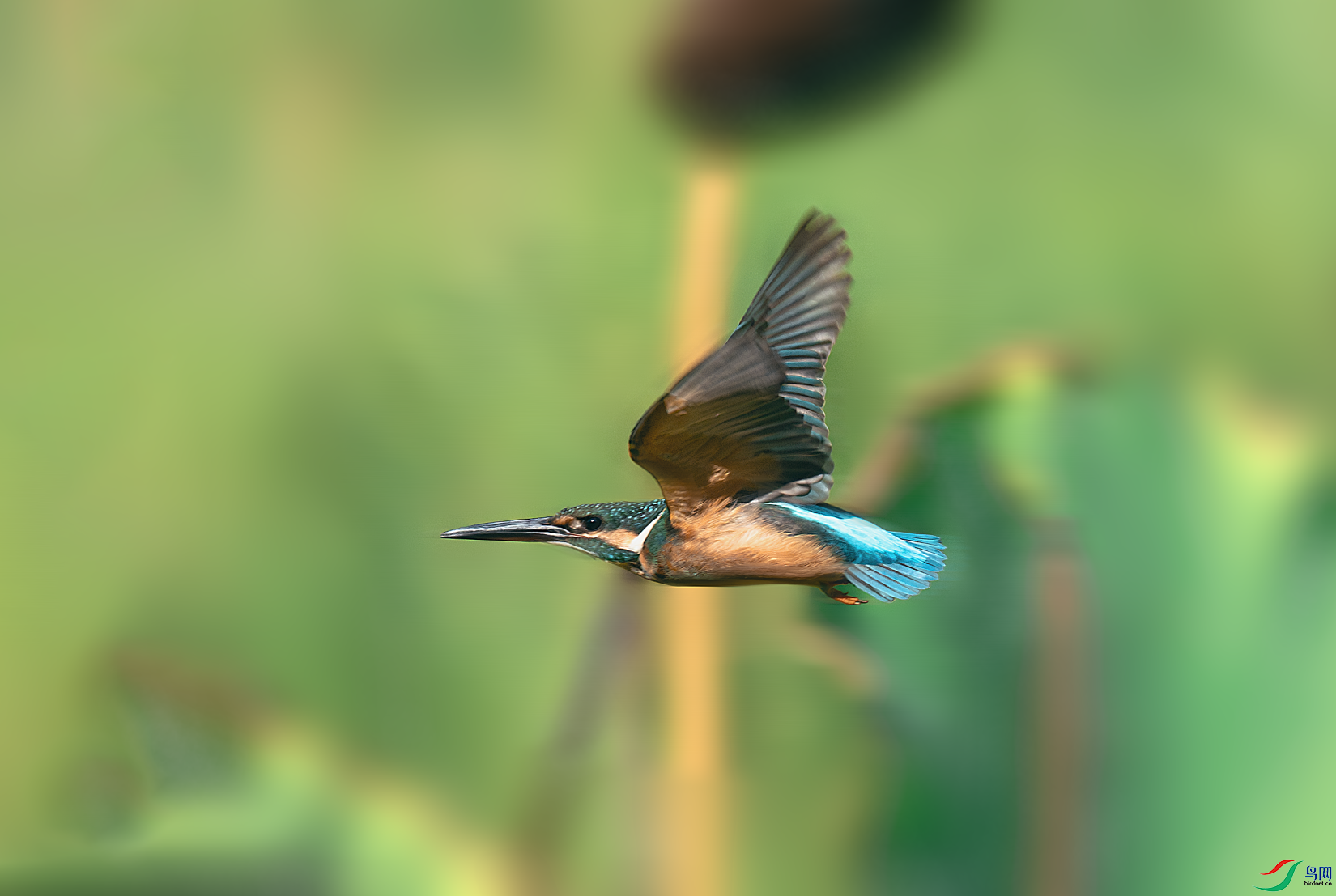 _DSC7861-����ǿ-NR.PNG