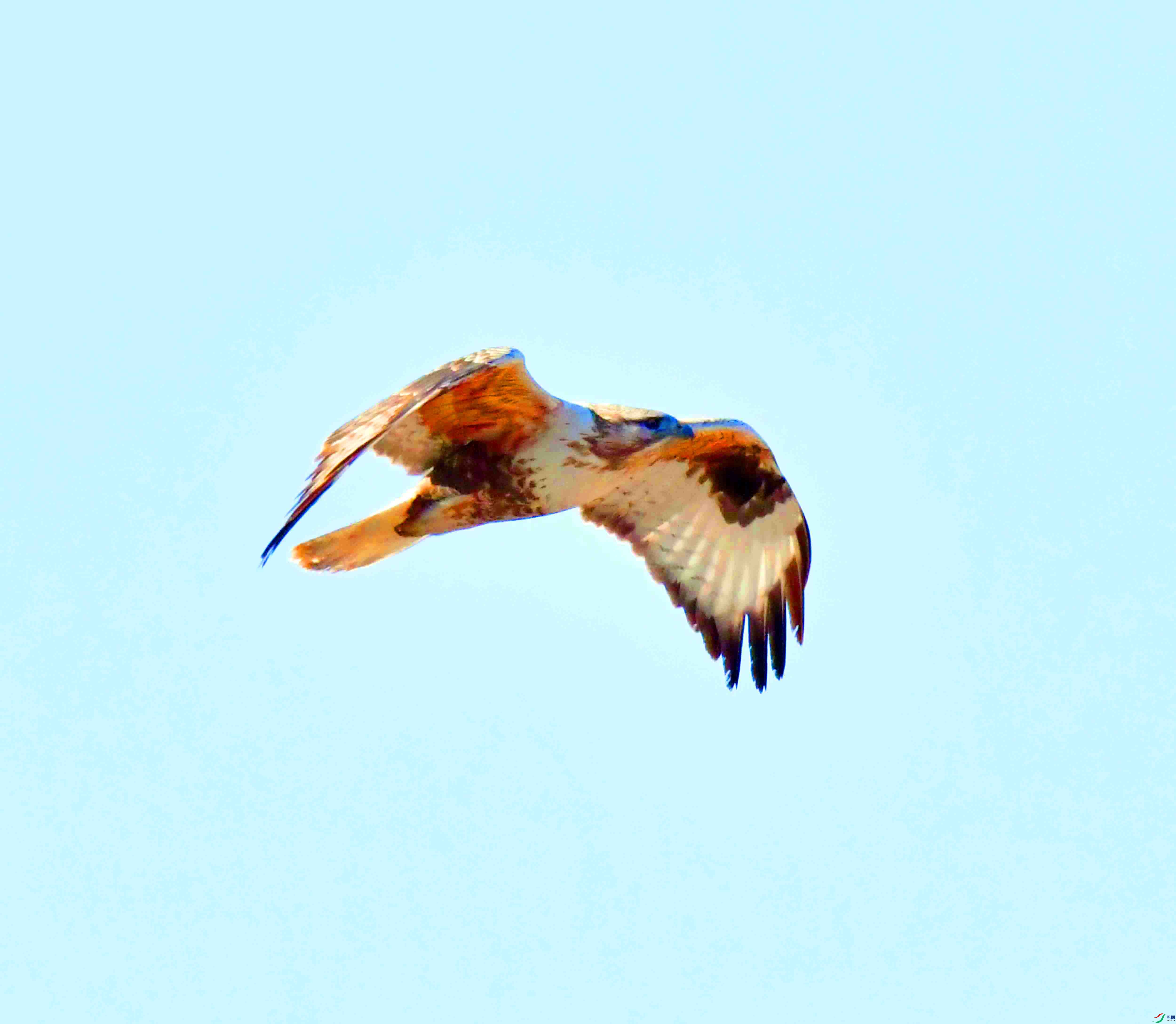 DSC_1957.JPG