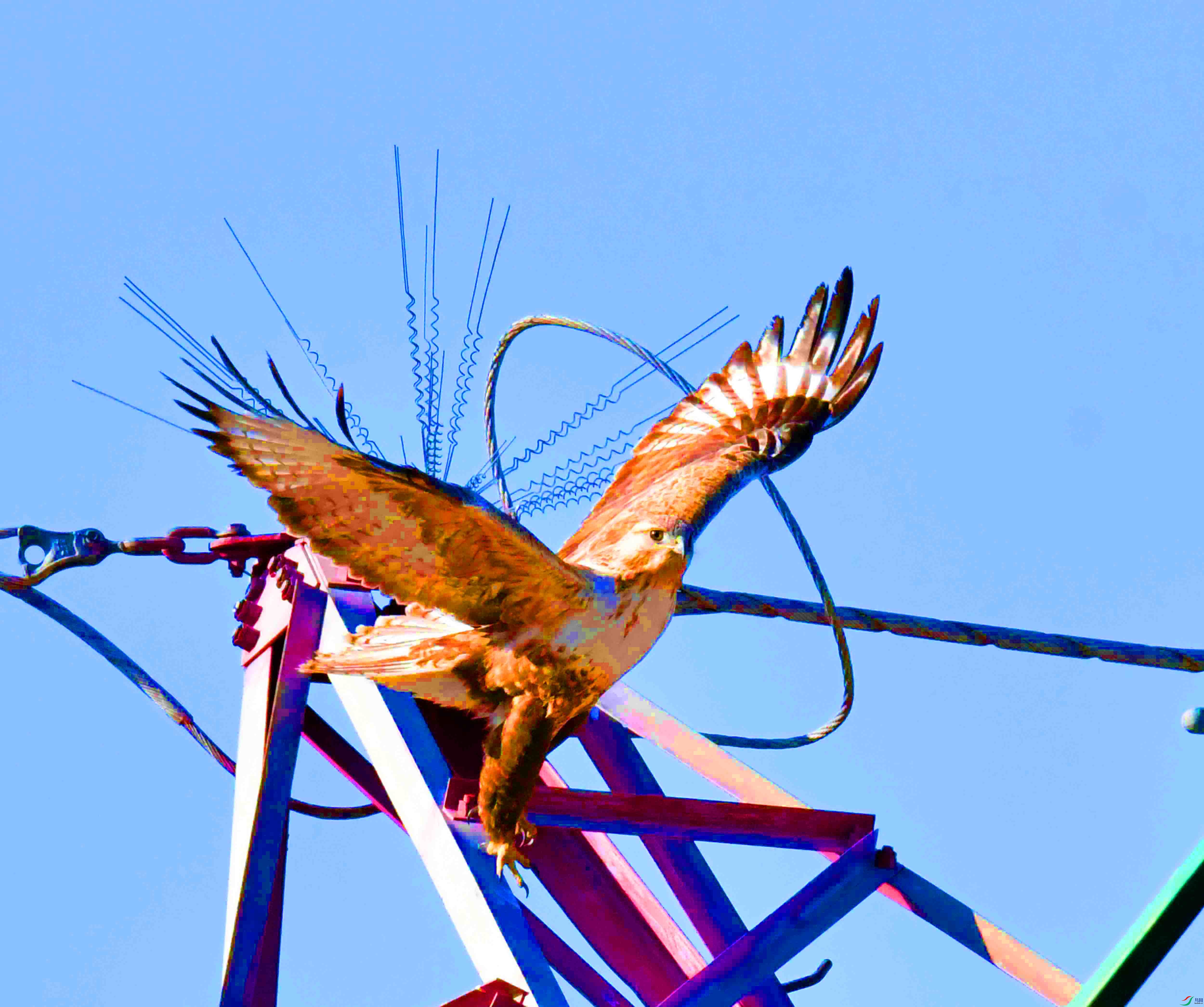 DSC_1981.JPG