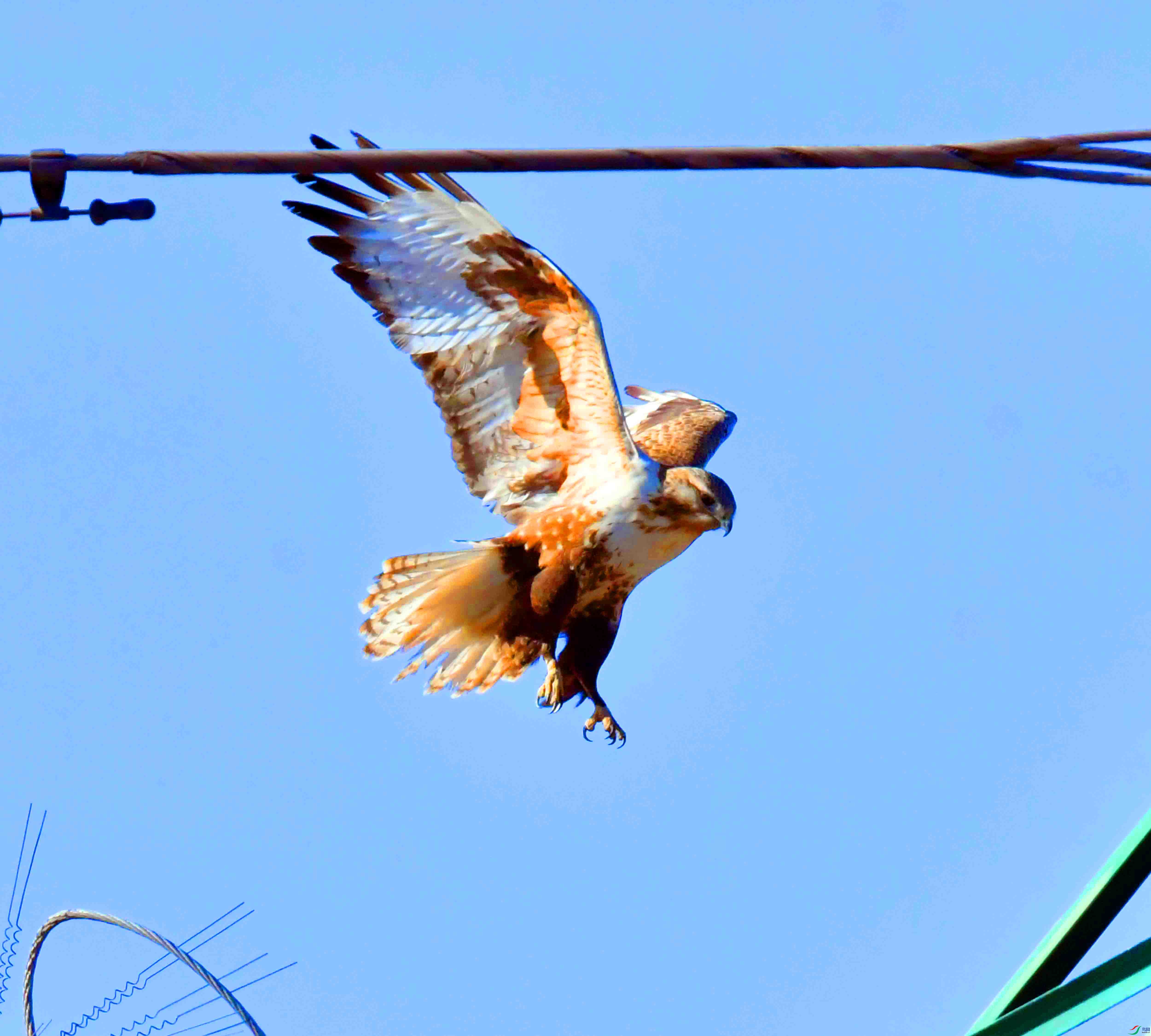 DSC_1985.JPG