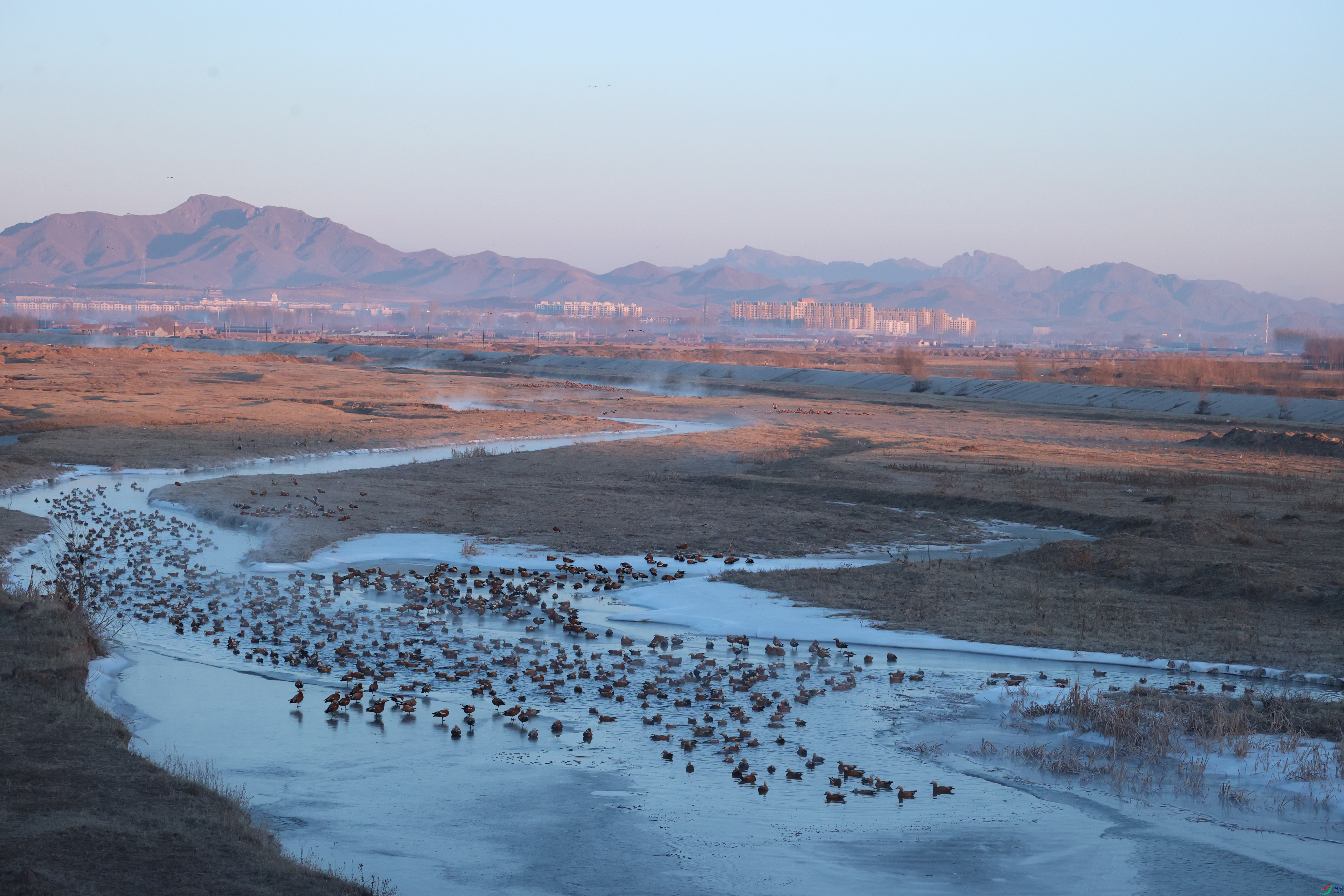 8212��ש����