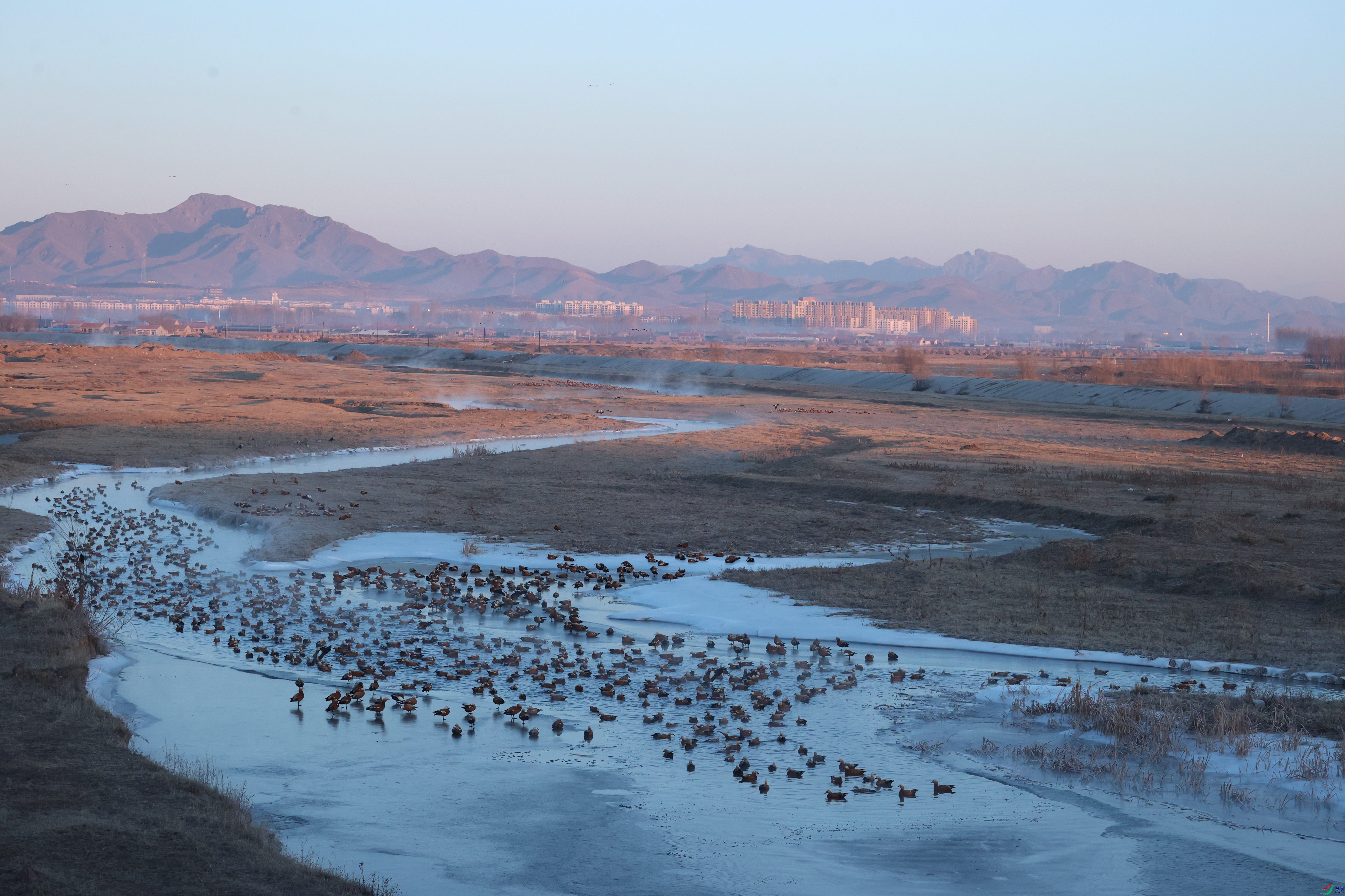 8213��ש����