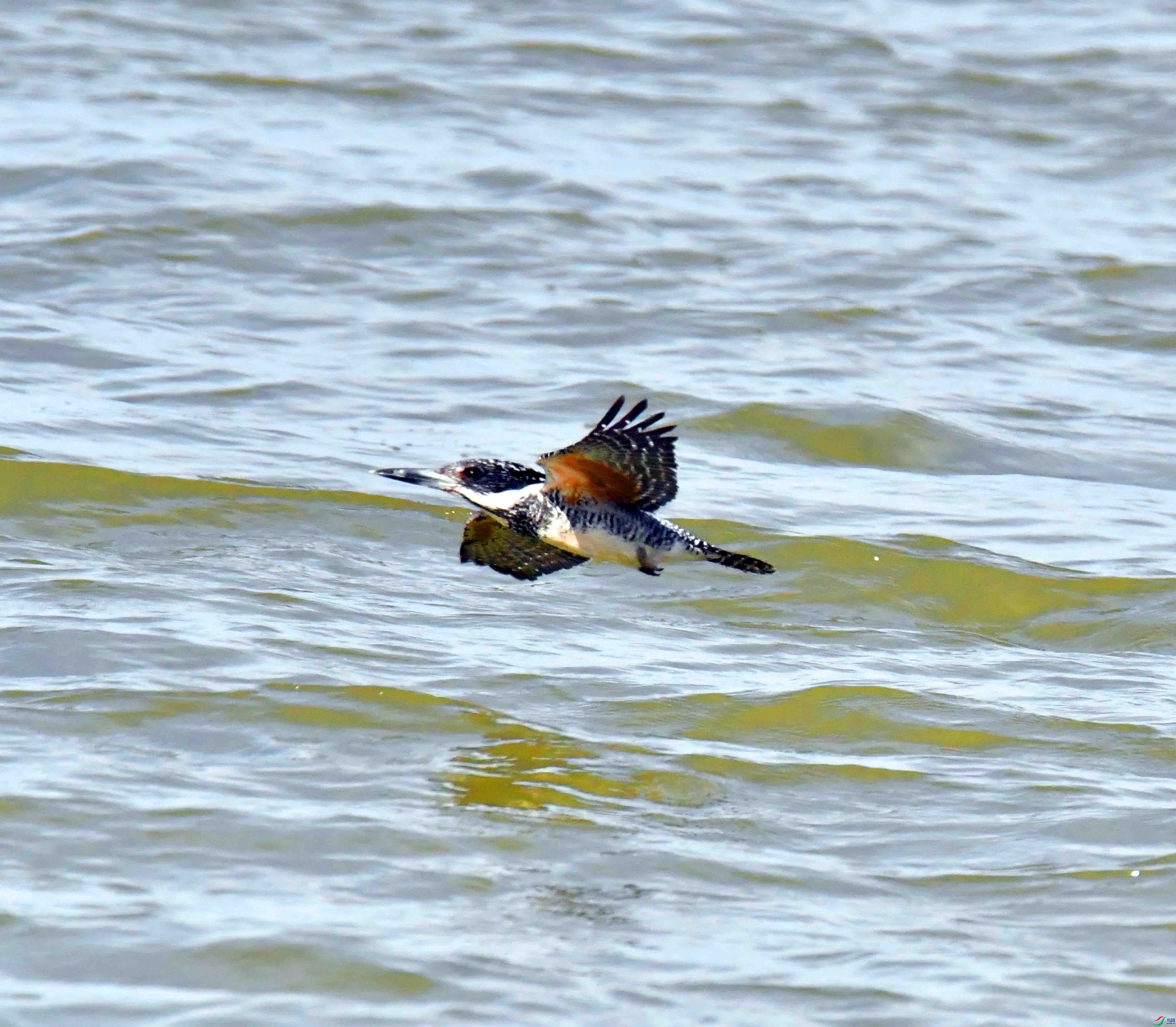 DSC_2165.JPG