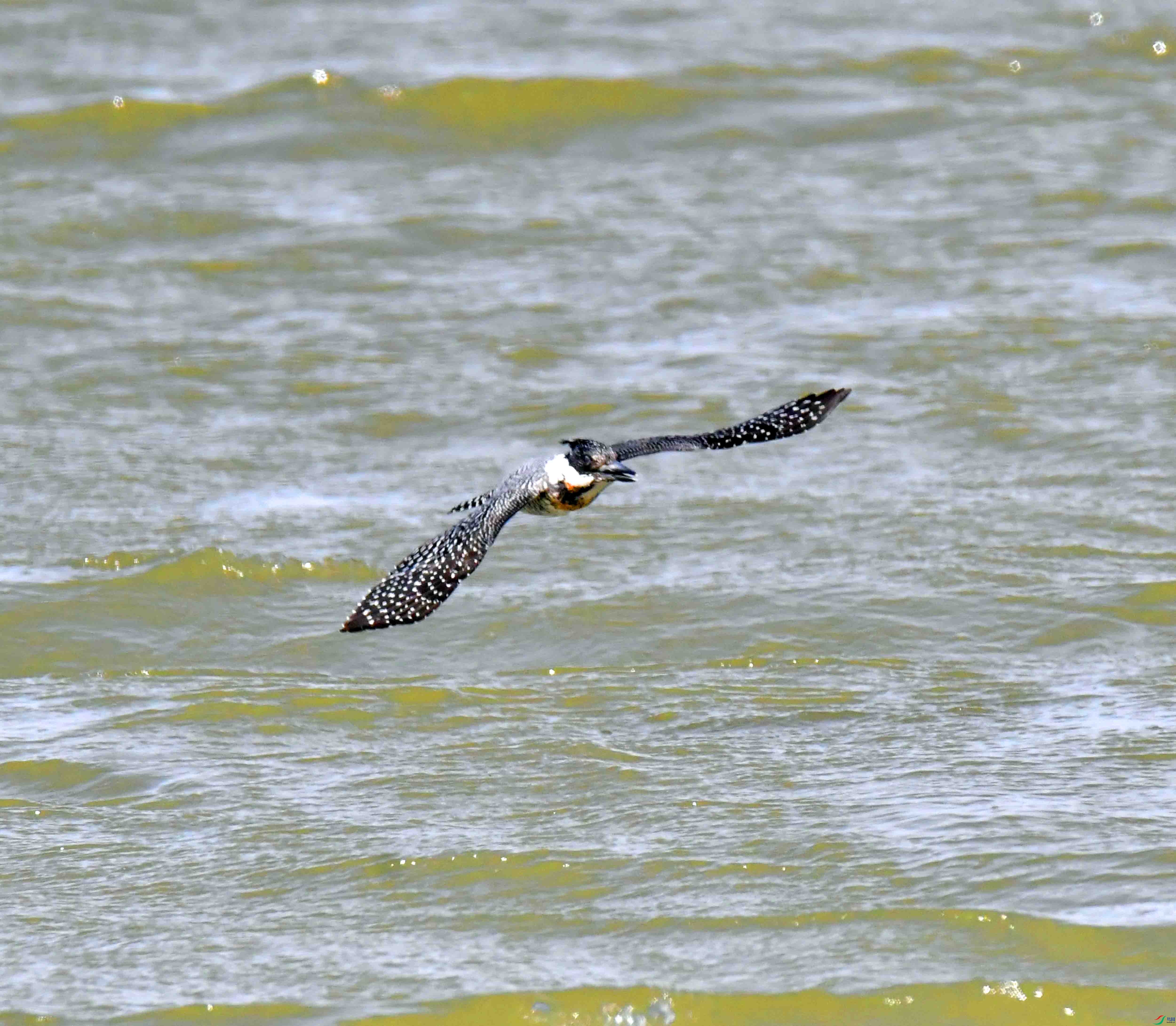 DSC_2383.JPG