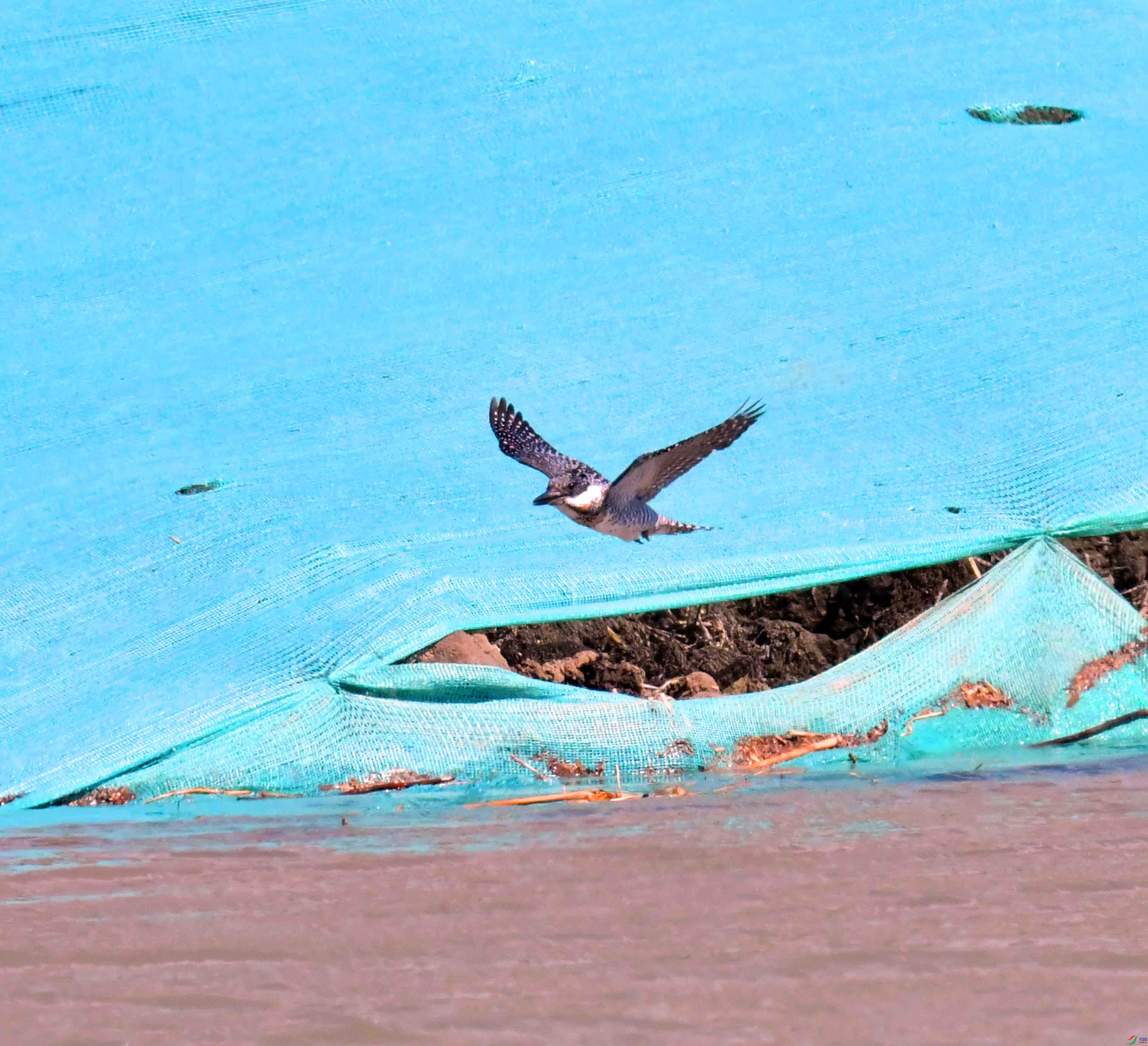 DSC_2421.JPG