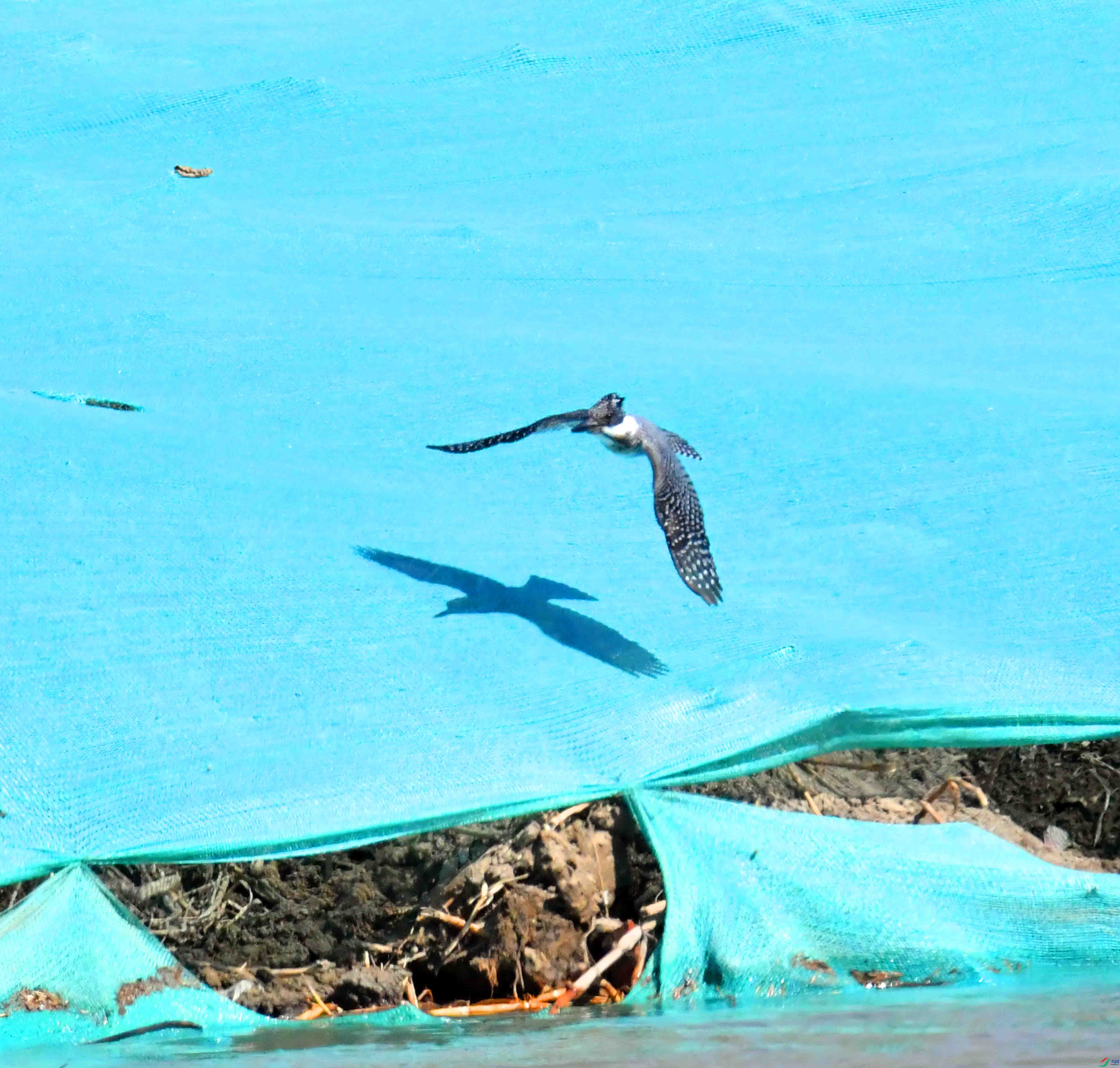 DSC_2420.JPG