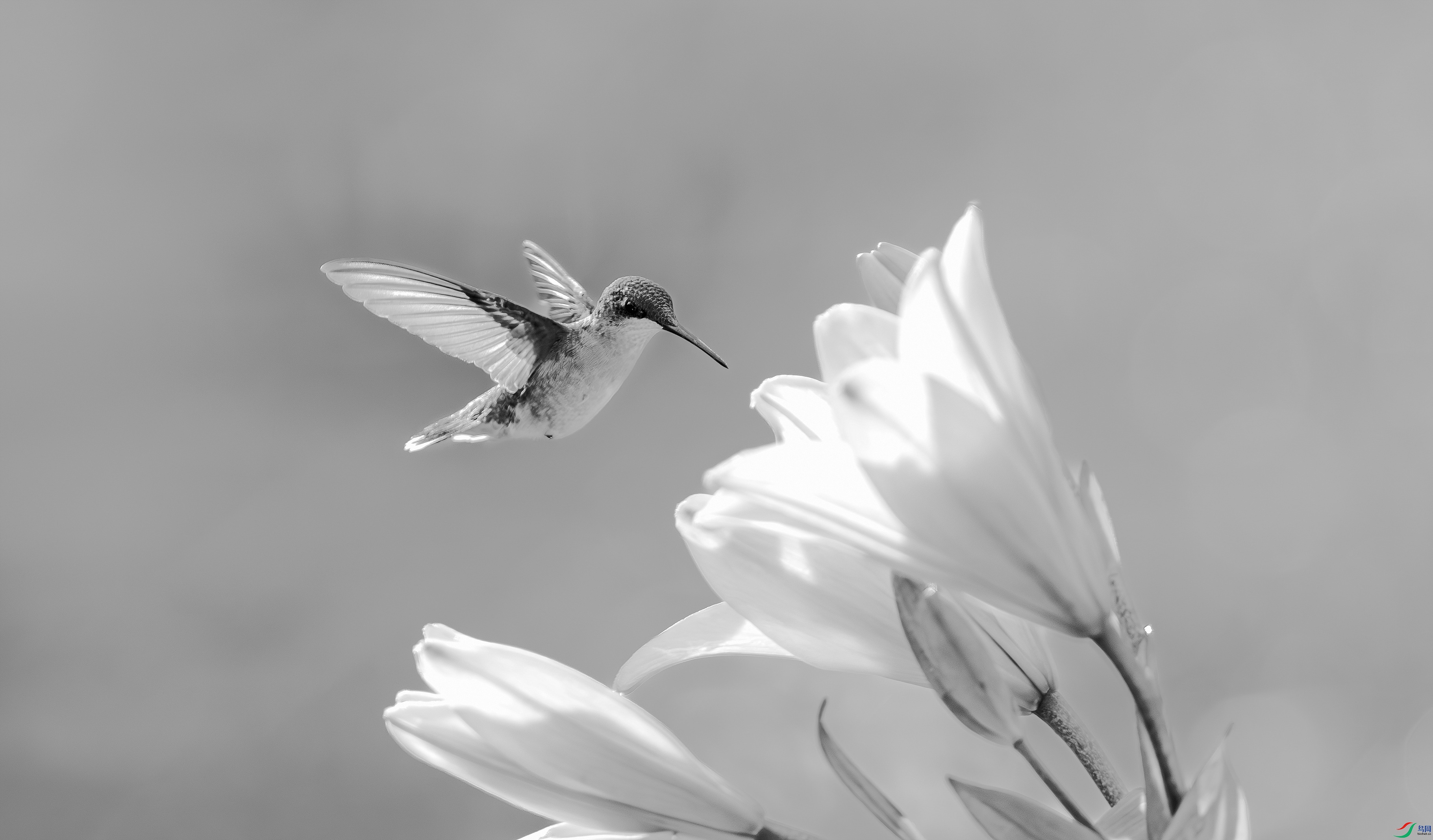 412A6976-1-2_����=00.jpg