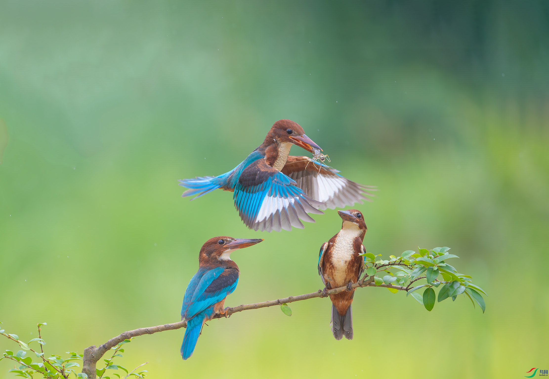 DSC_0126-����ǿ-NR ����.jpg