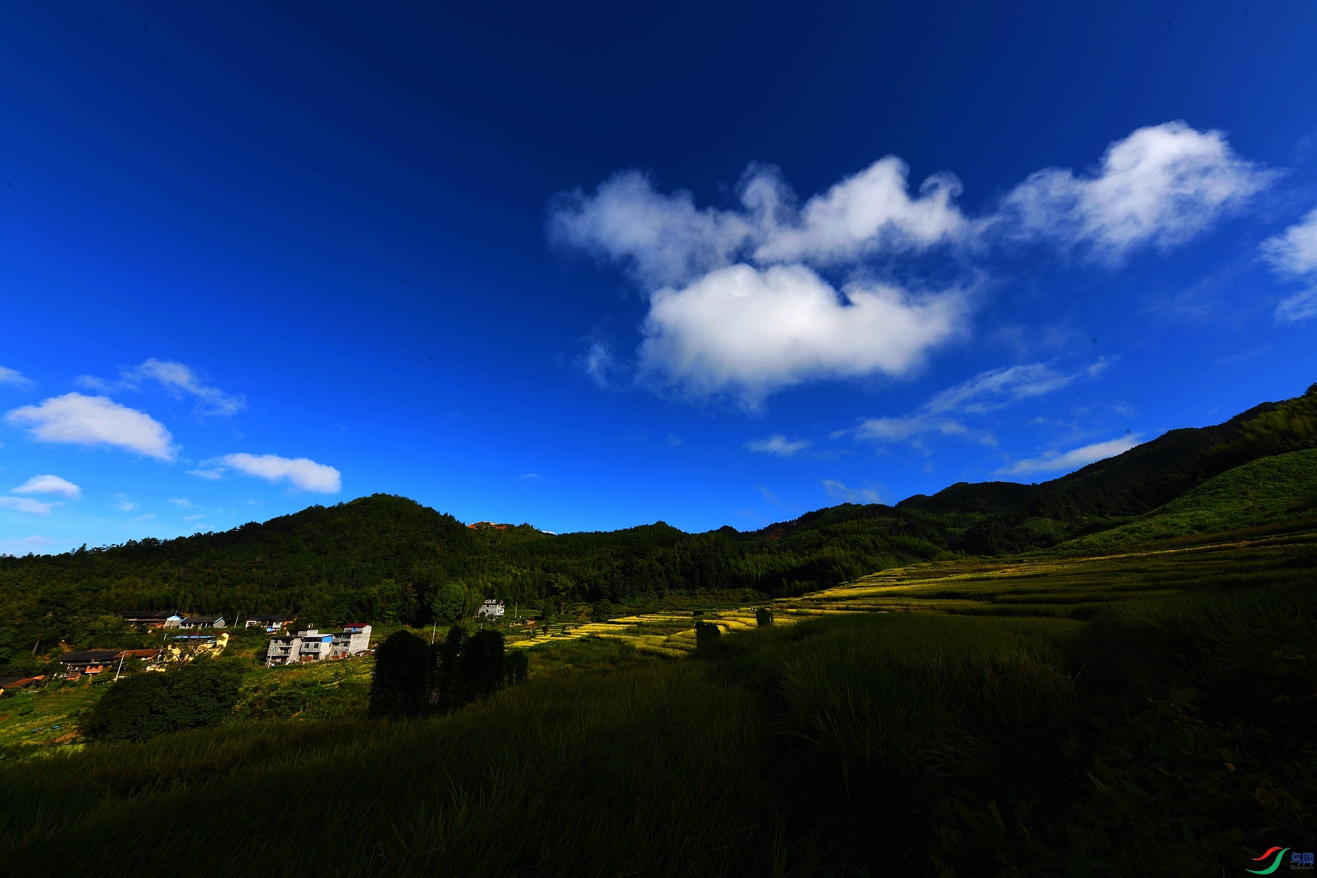 DSC_7700.jpg