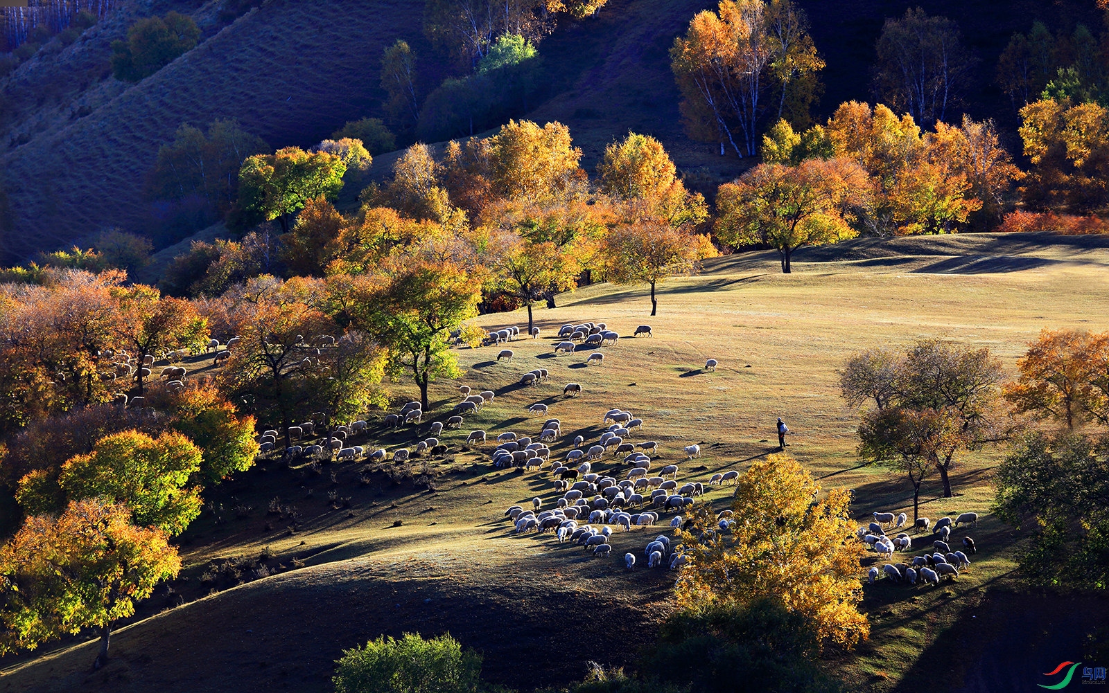 ��������