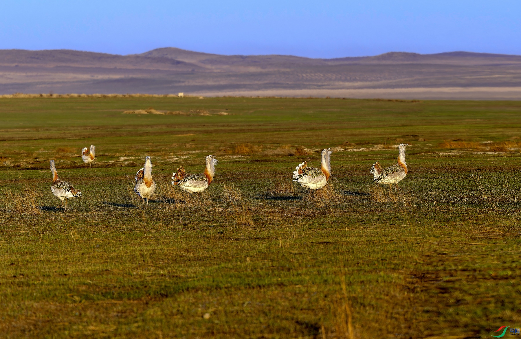 ��𱣨2�� (1532)-01.jpg