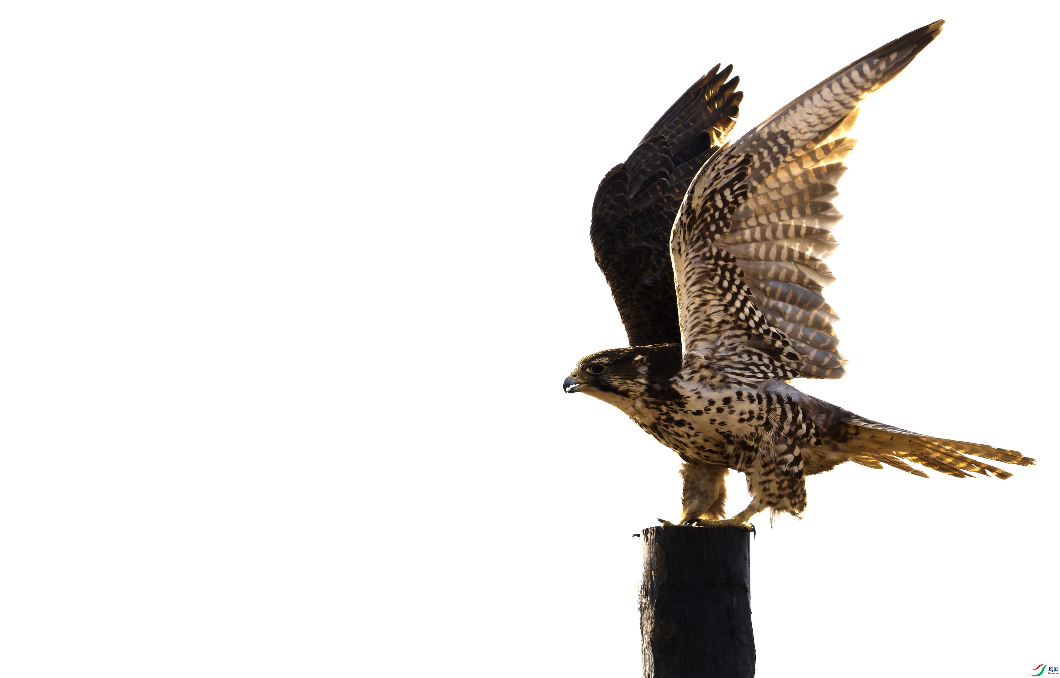 ����2 (1)-01.jpg