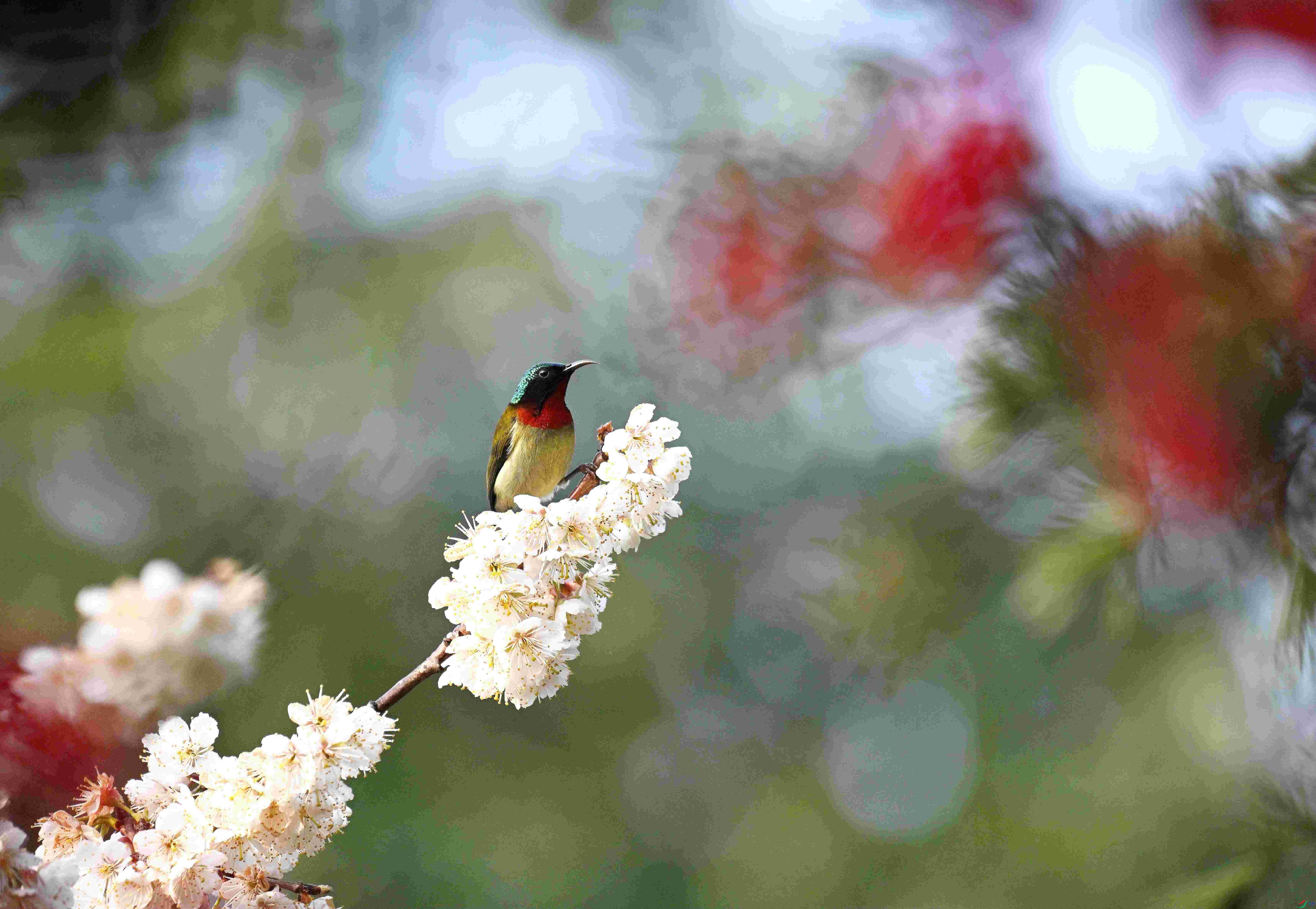 DSC_6108.jpg