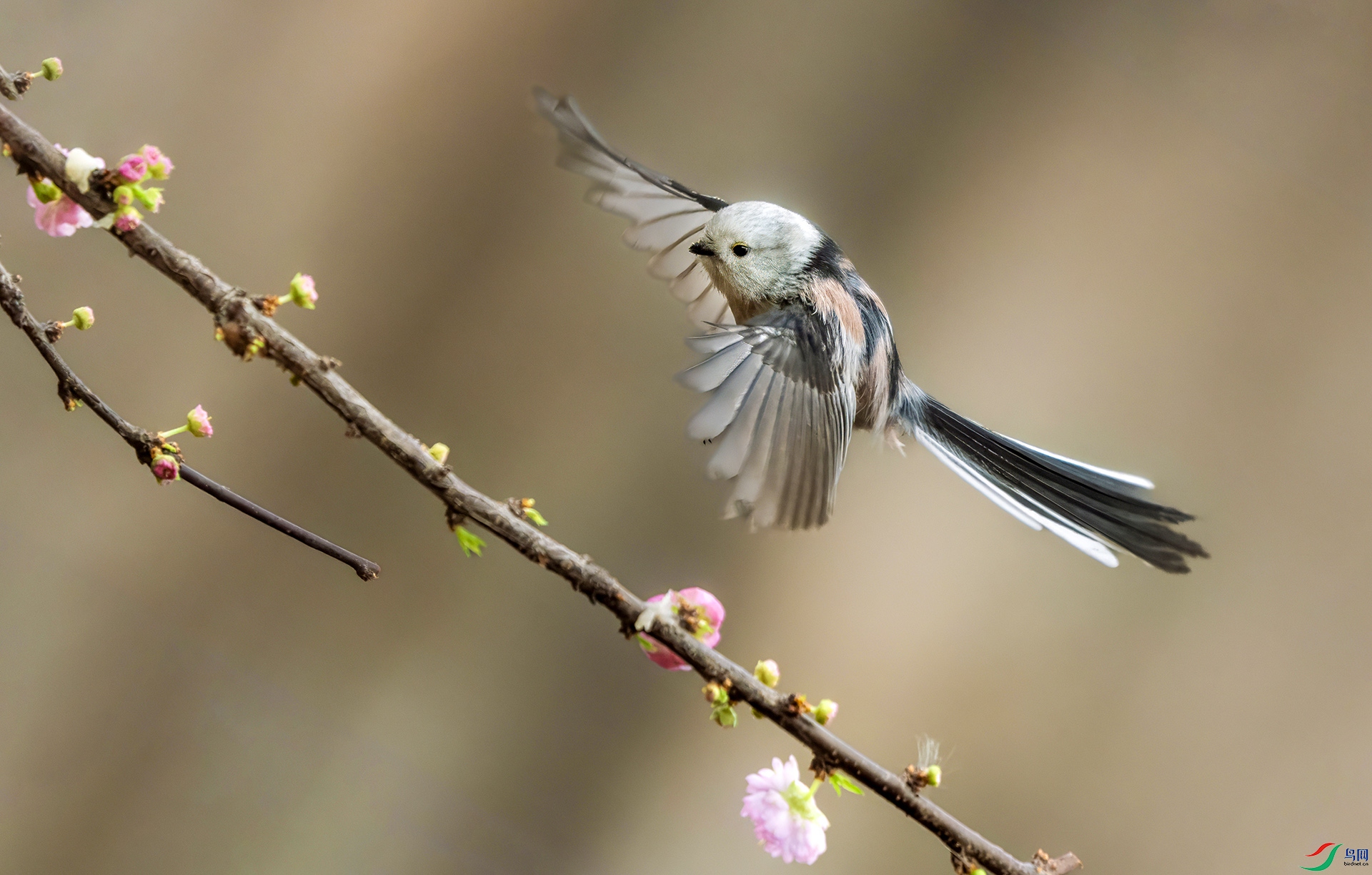 DSC00768 ����00 ����.jpg