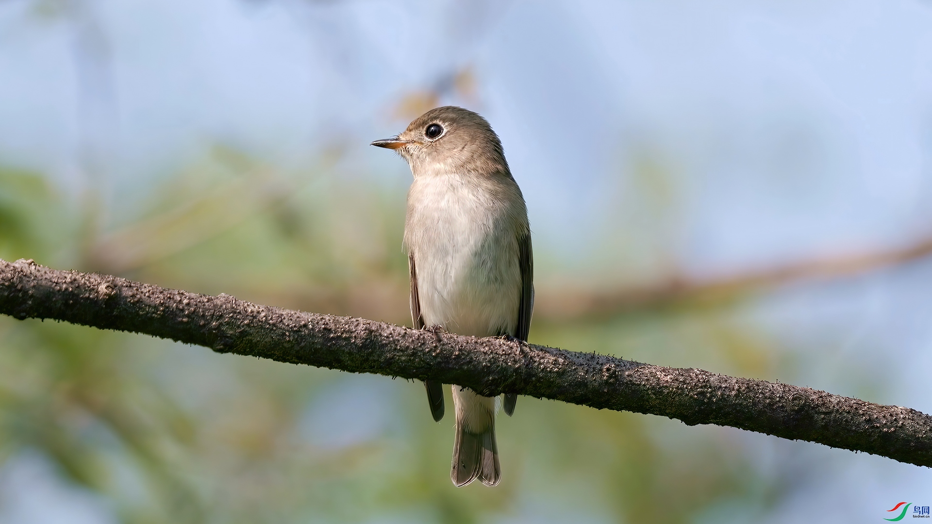 ��֡ 2025-10-01 104321_1.1.jpg