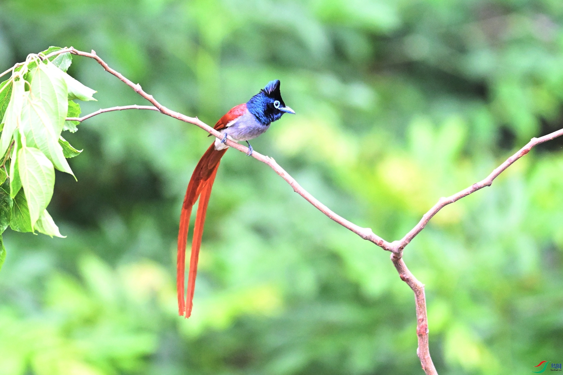 DSC_5884.JPG