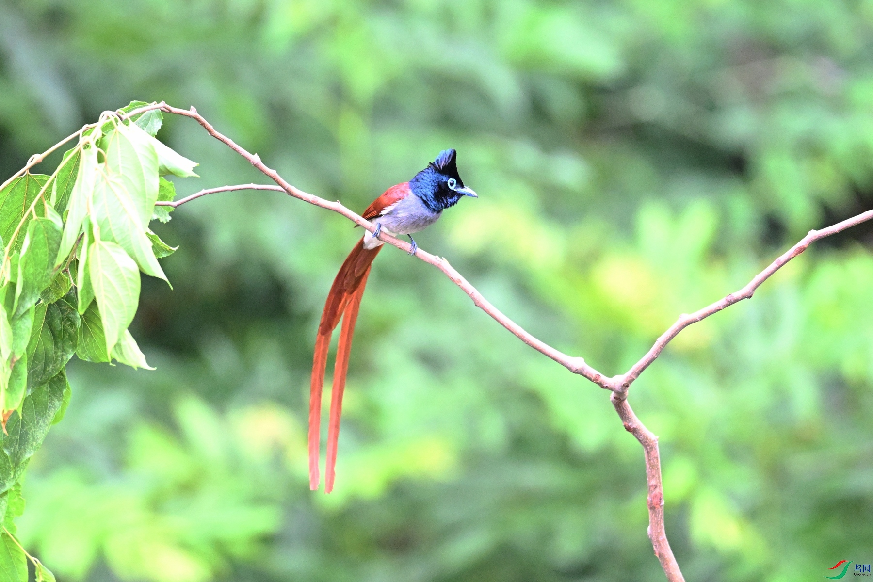 DSC_5887.JPG