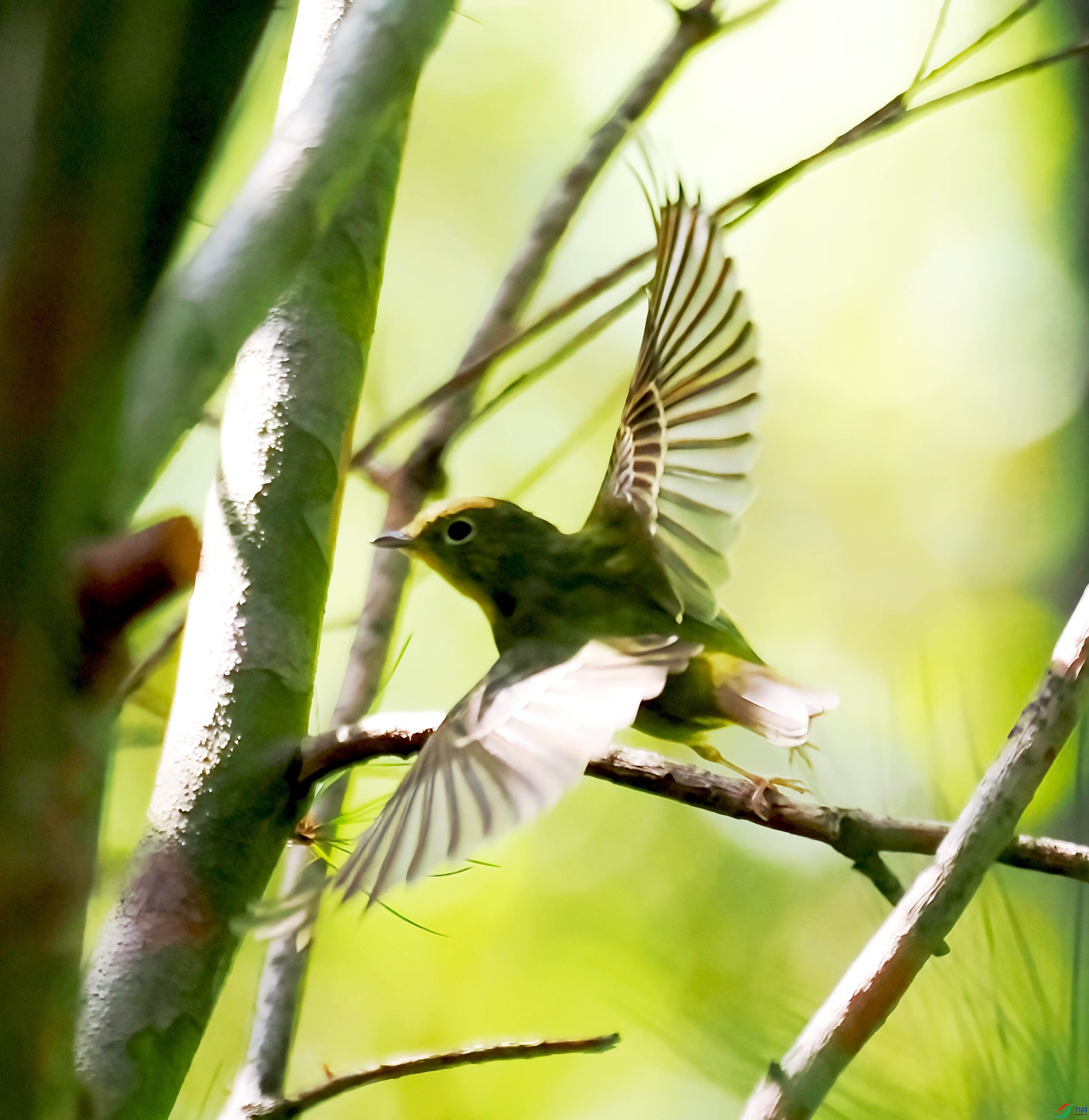 P9264621-DeNoiseAI-standard ����.jpg