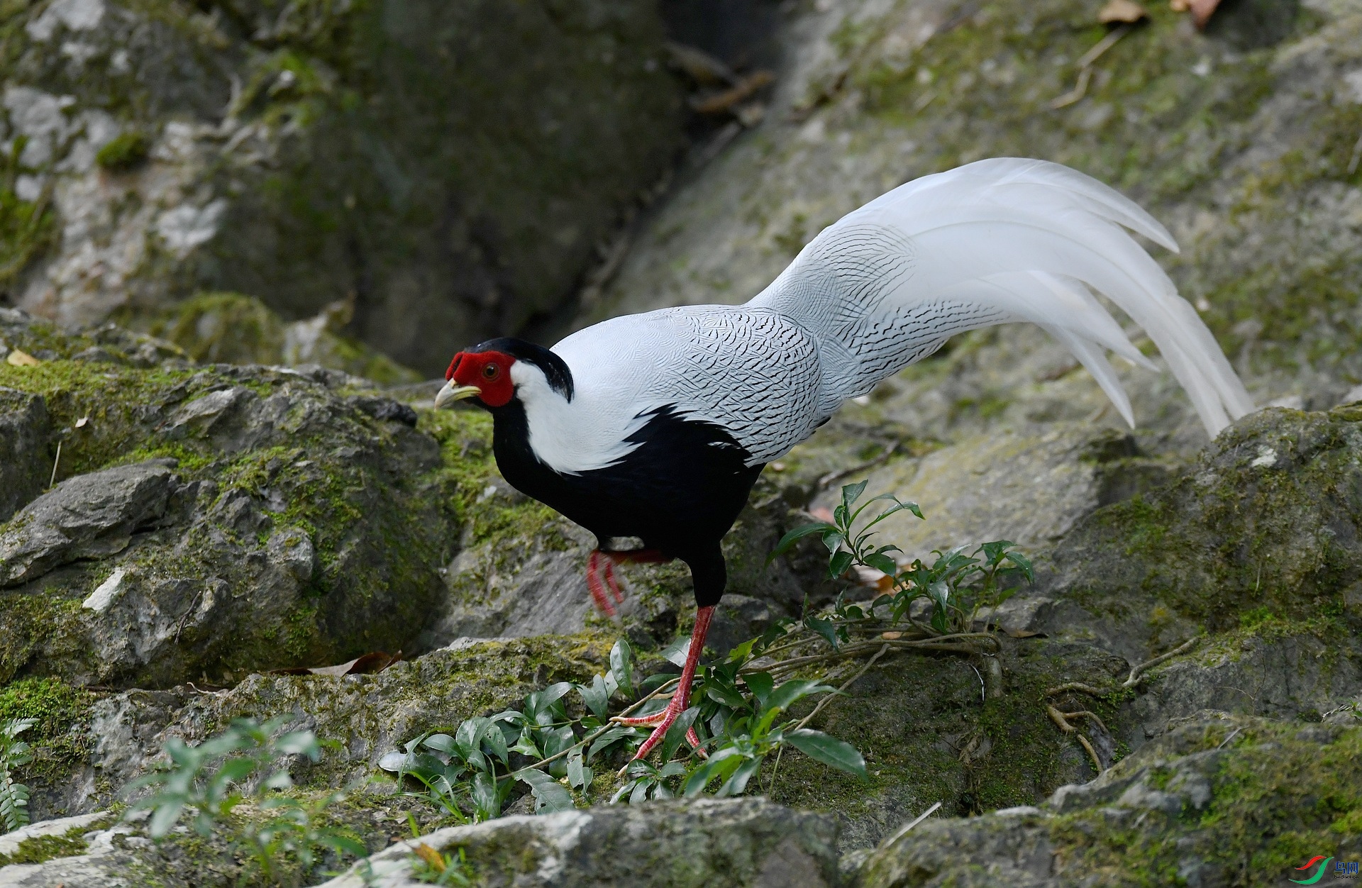 DSC_9388.jpg