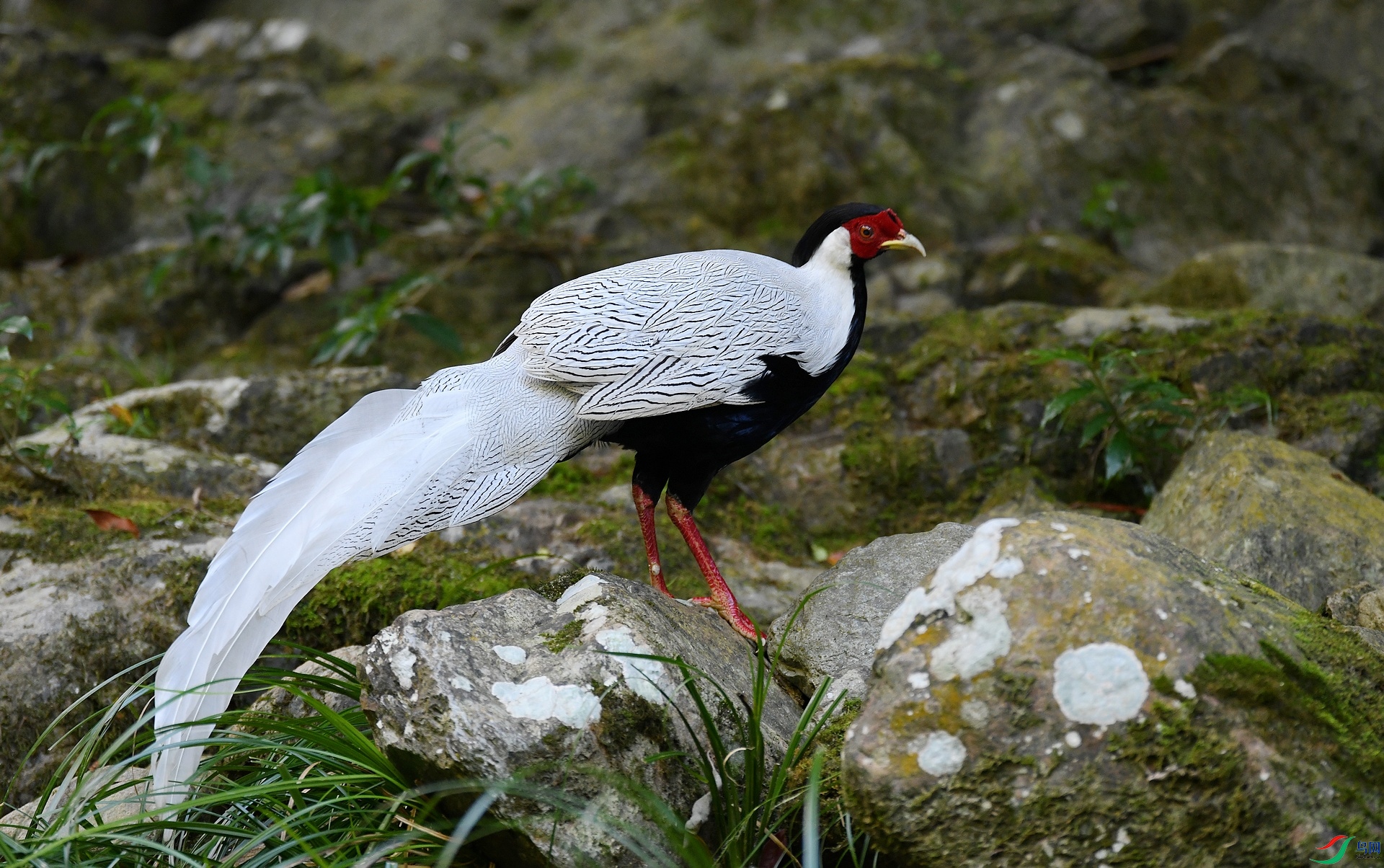 DSC_9359.jpg